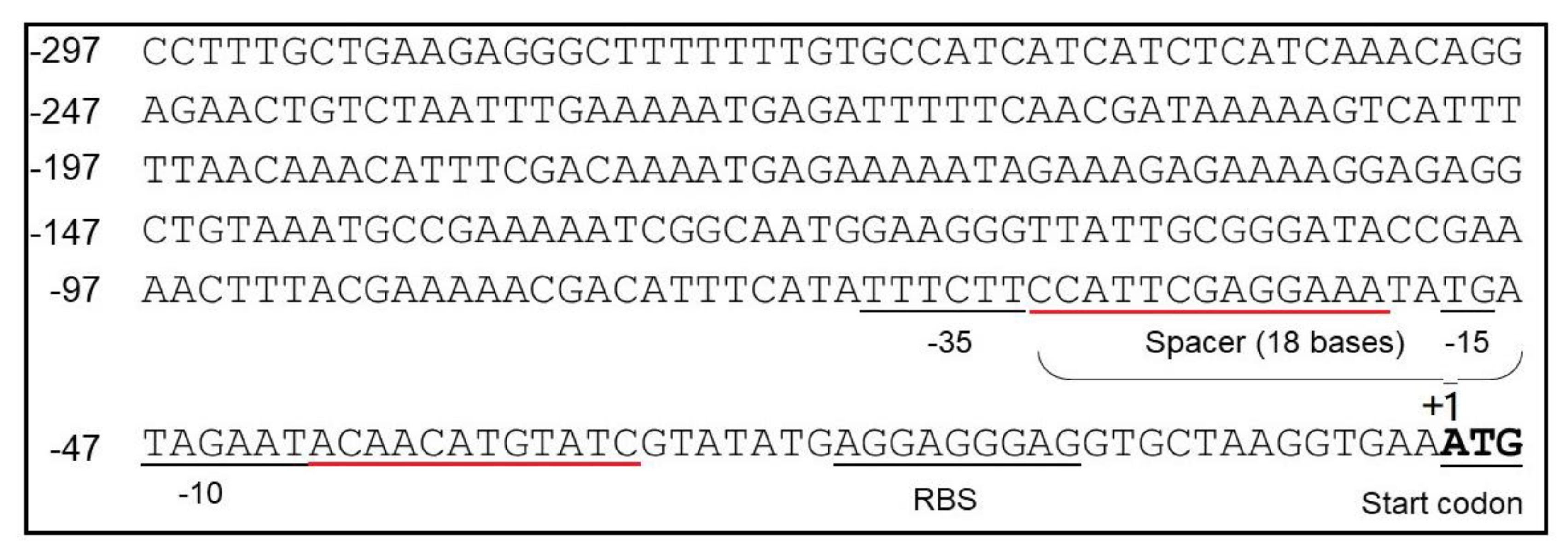 Microorganisms 08 01030 g002
