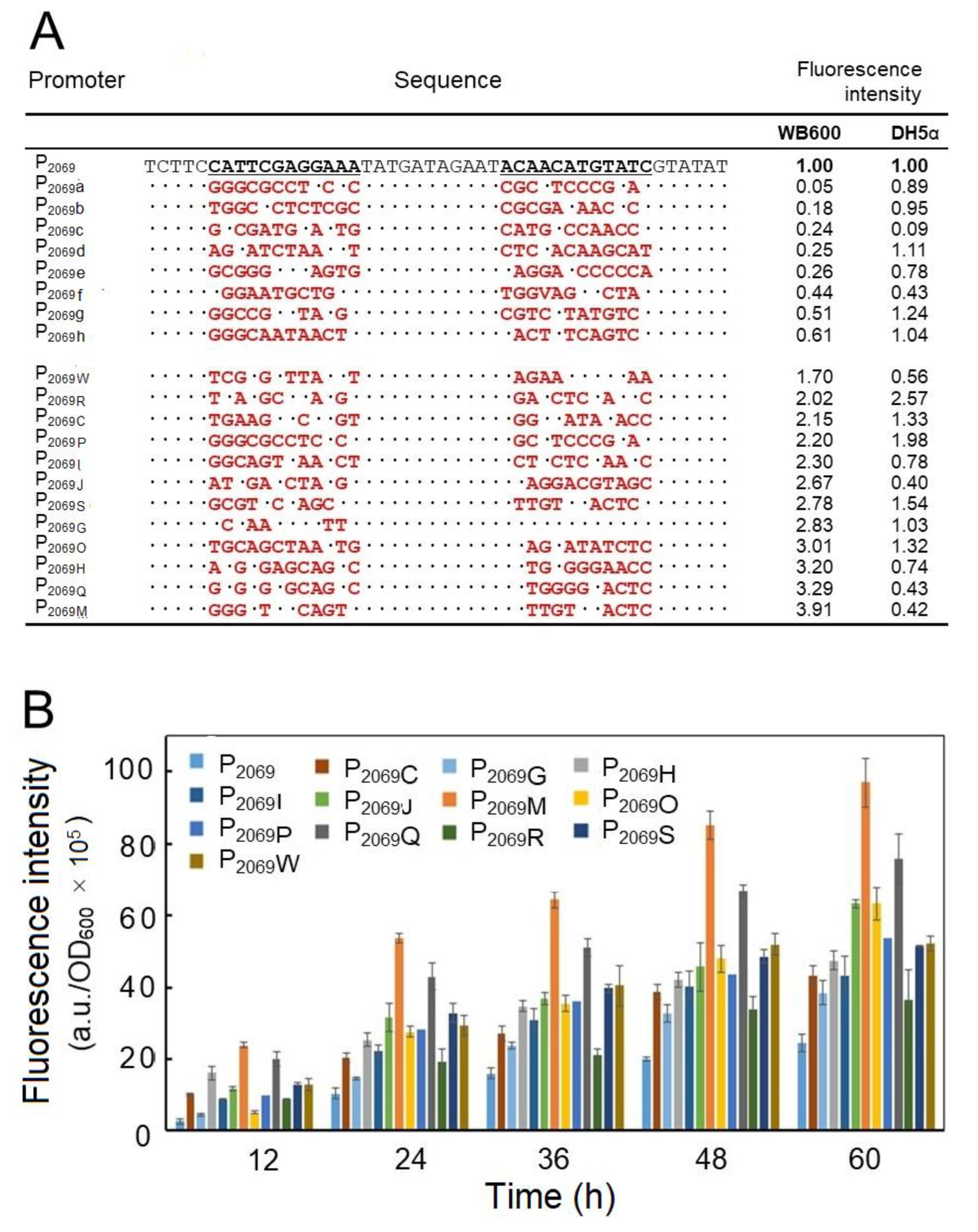 Microorganisms 08 01030 g003