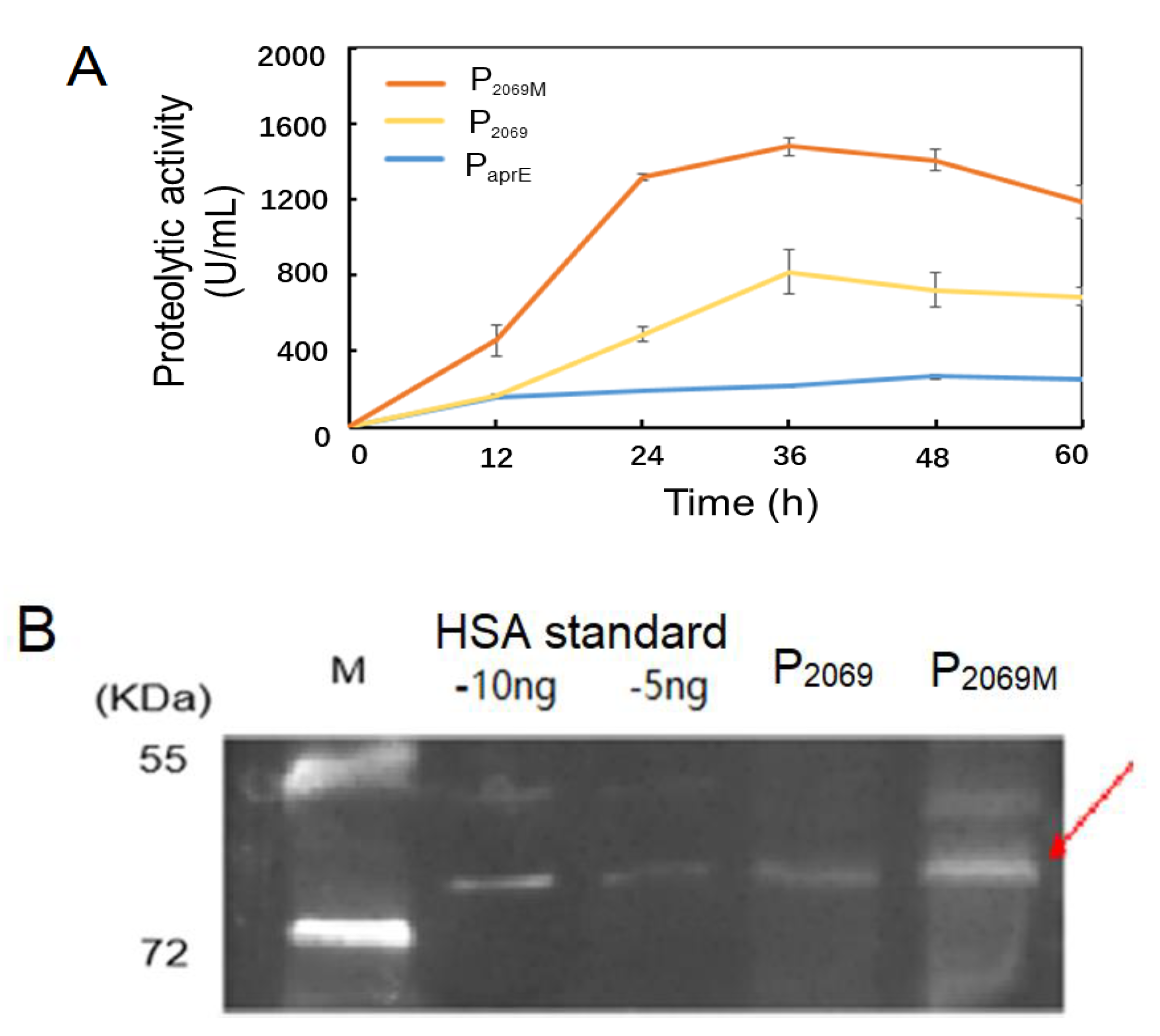 Microorganisms 08 01030 g004