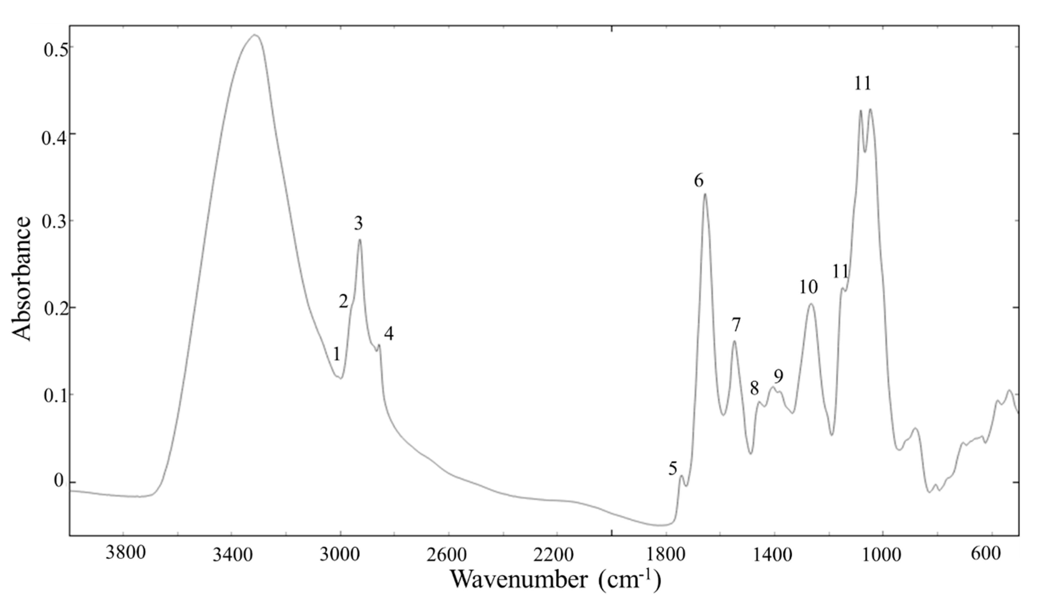 Microorganisms 08 01034 g004