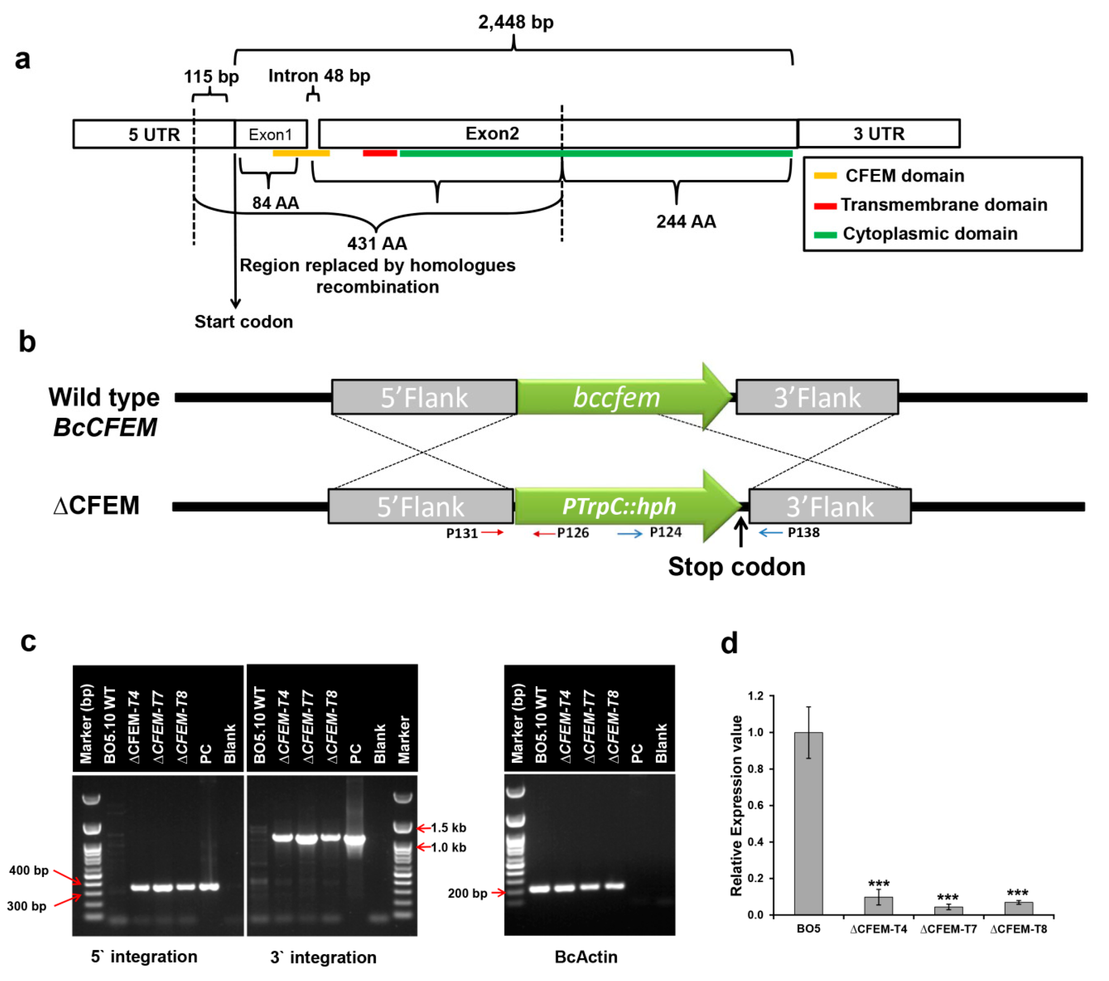 Microorganisms 08 01043 g001