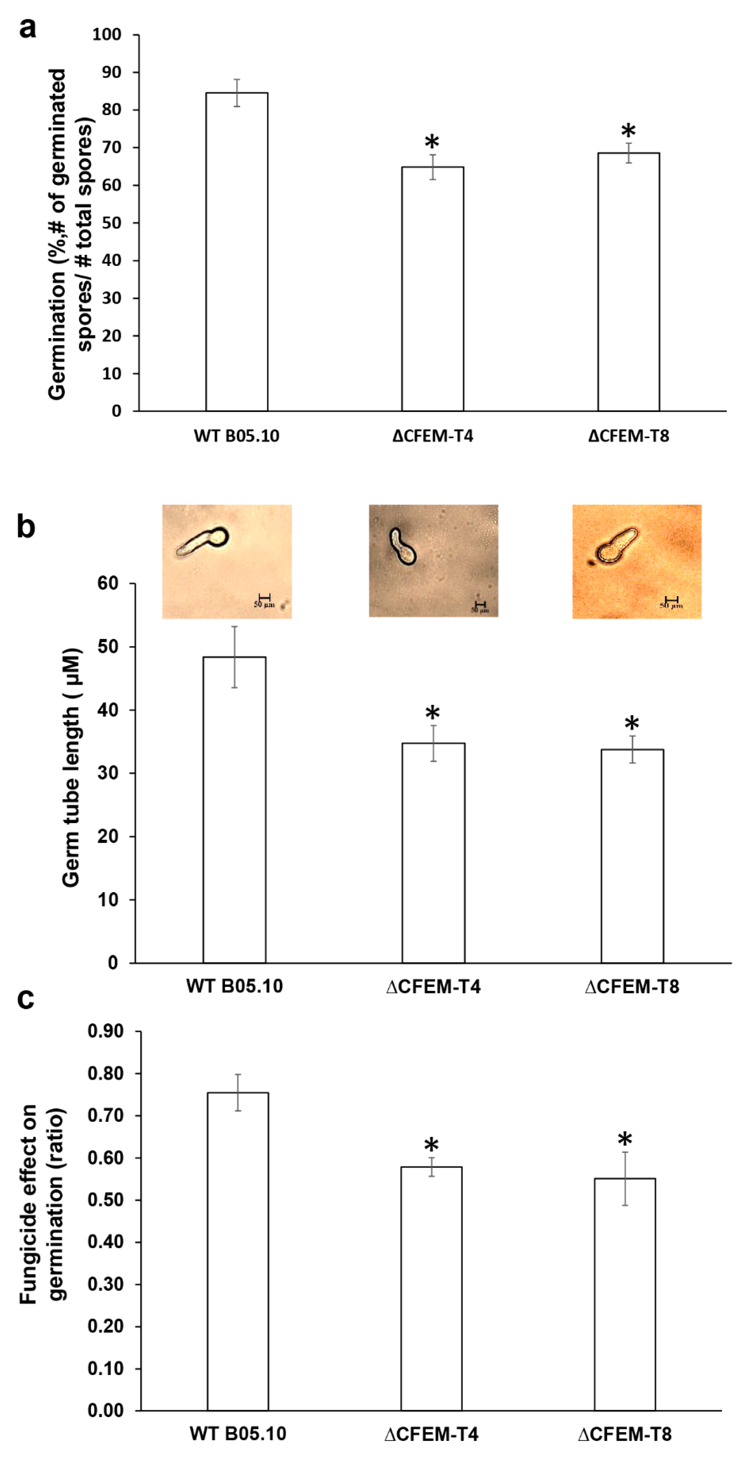 Microorganisms 08 01043 g003