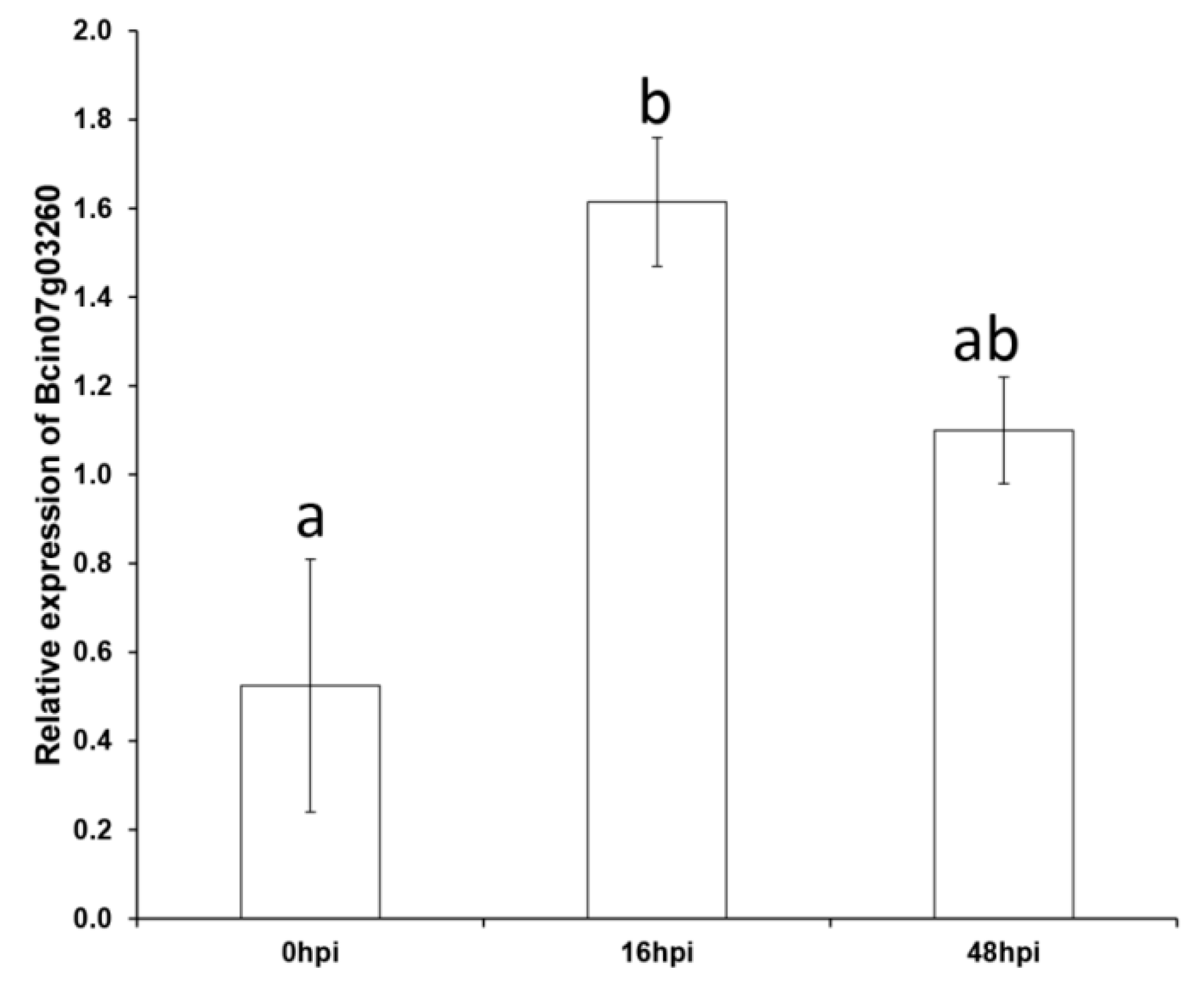 Microorganisms 08 01043 g004