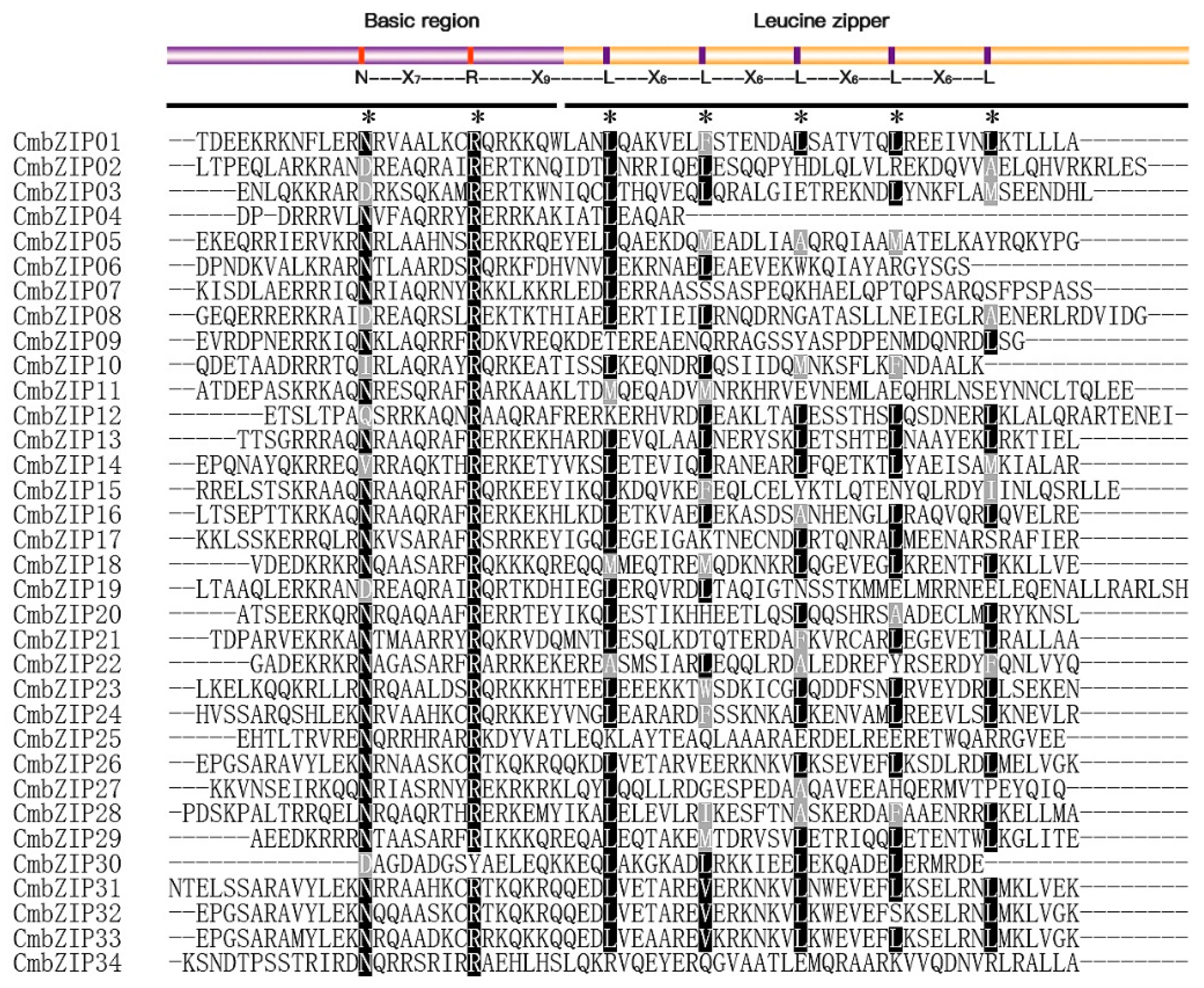 Microorganisms 08 01045 g001 Microorganisms 08 01045 g001