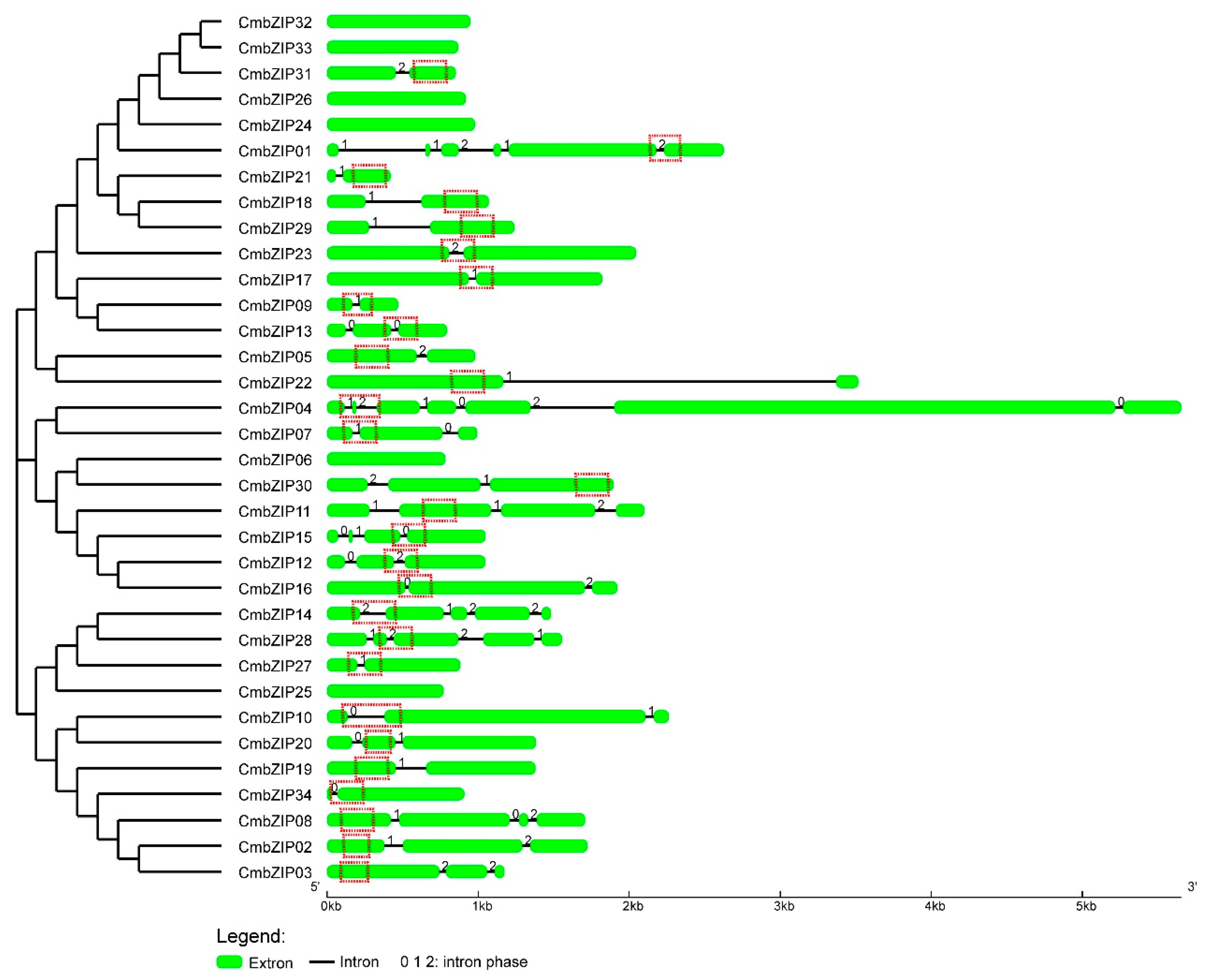 Microorganisms 08 01045 g003 Microorganisms 08 01045 g003