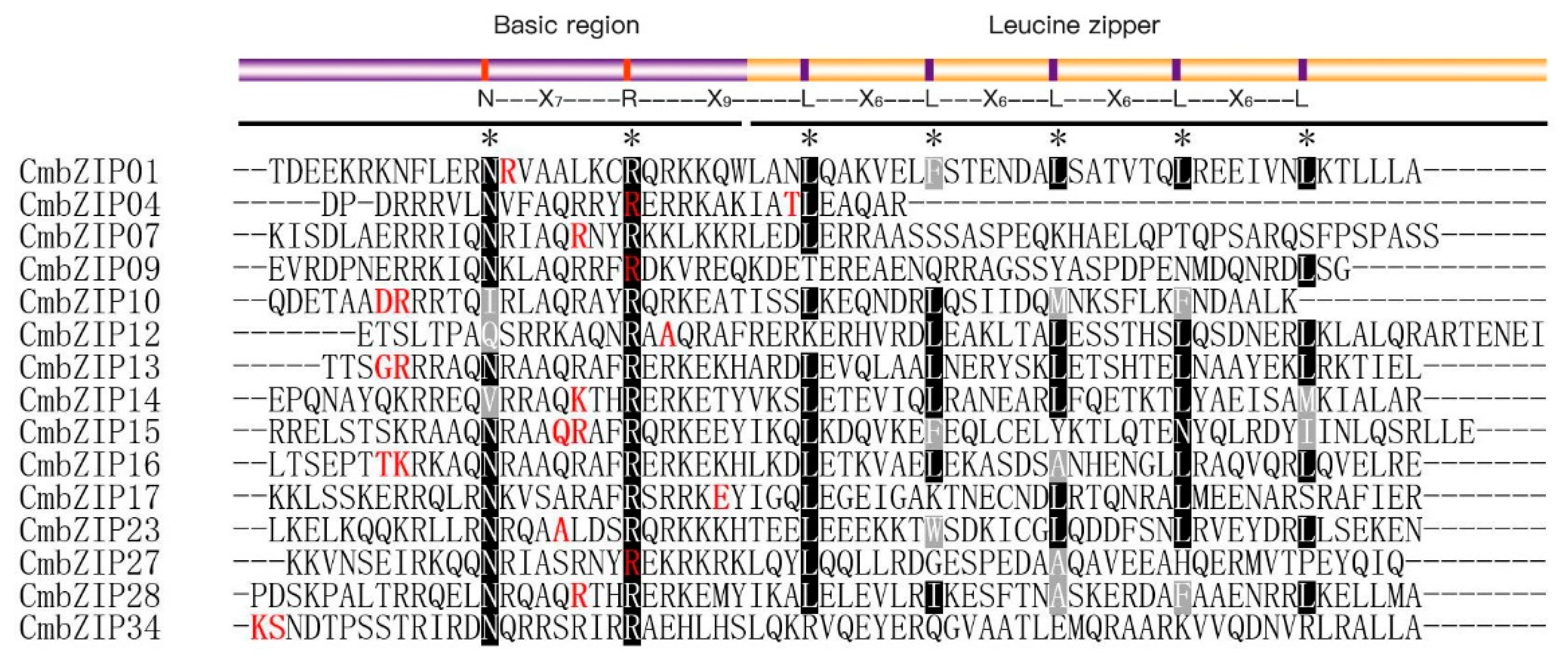 Microorganisms 08 01045 g004 Microorganisms 08 01045 g004