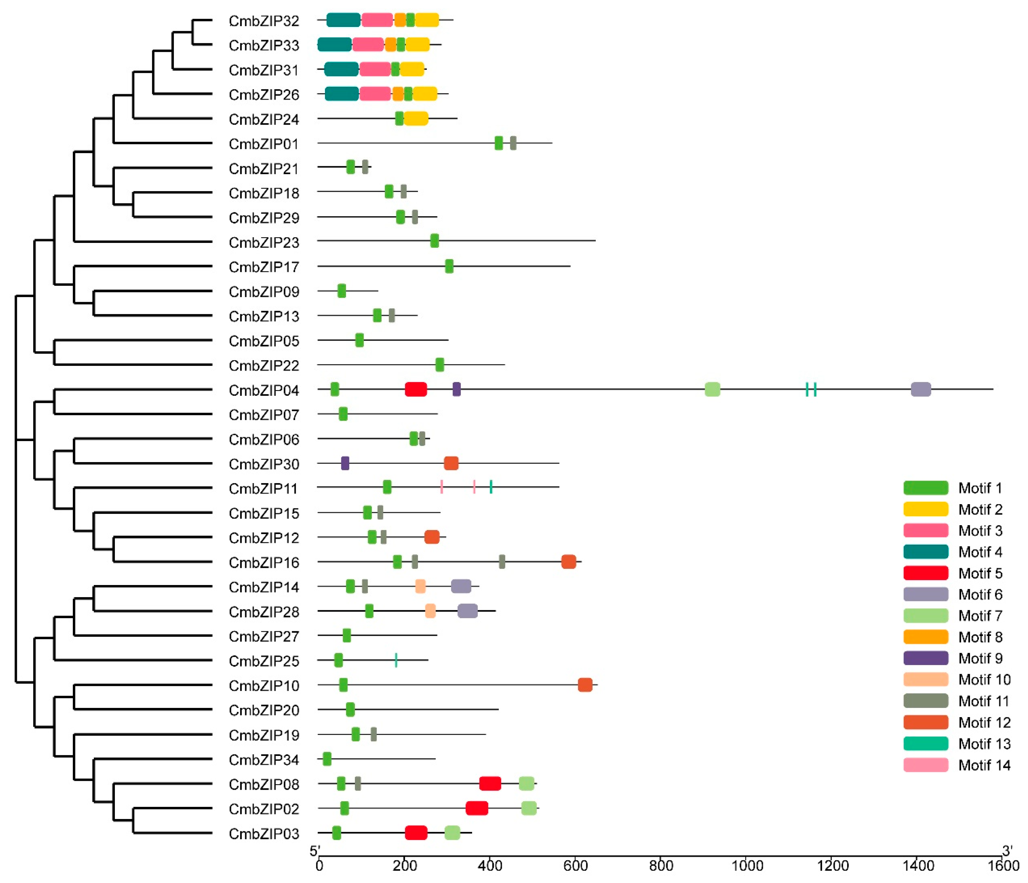 Microorganisms 08 01045 g005 Microorganisms 08 01045 g005