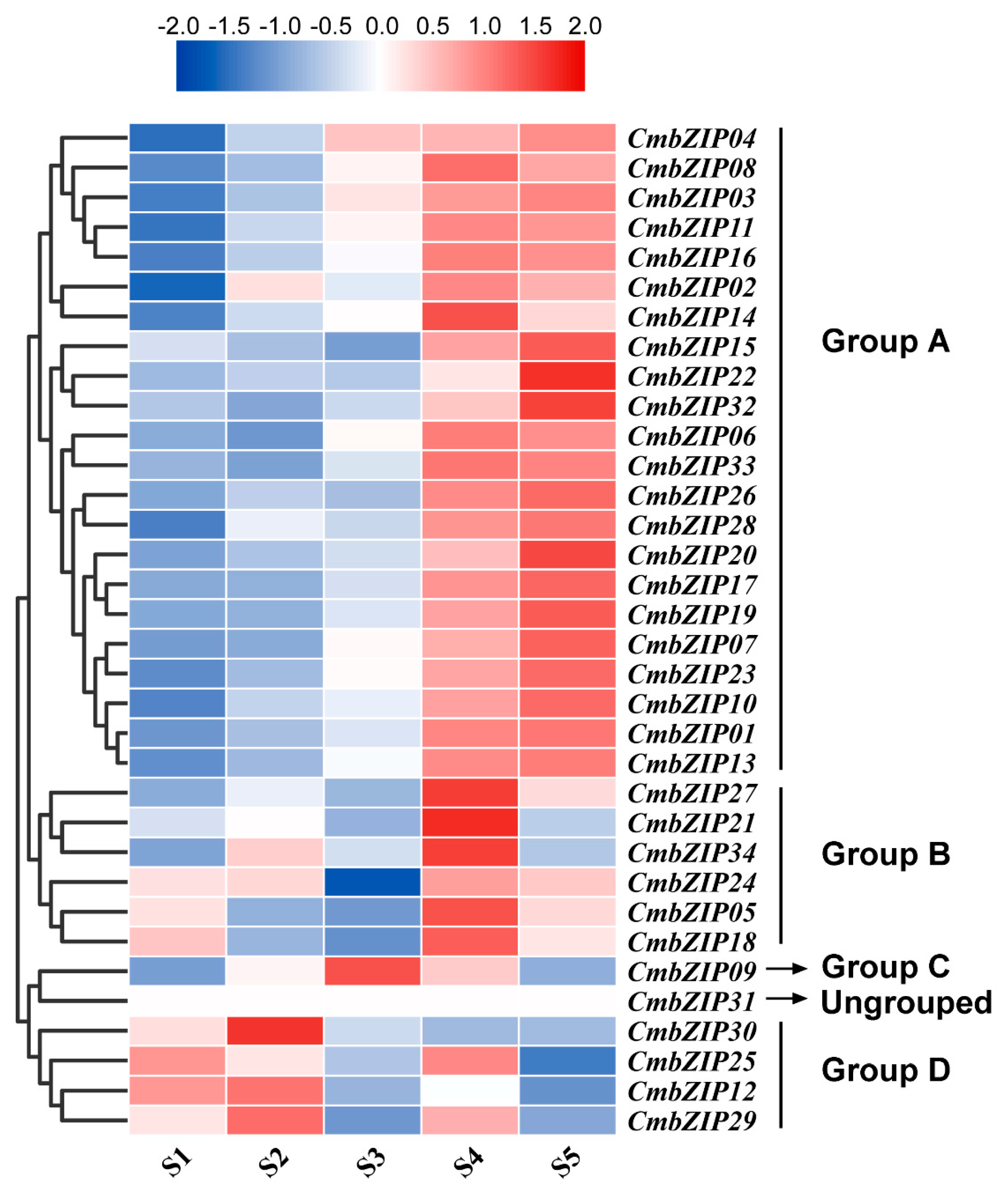 Microorganisms 08 01045 g007 Microorganisms 08 01045 g007
