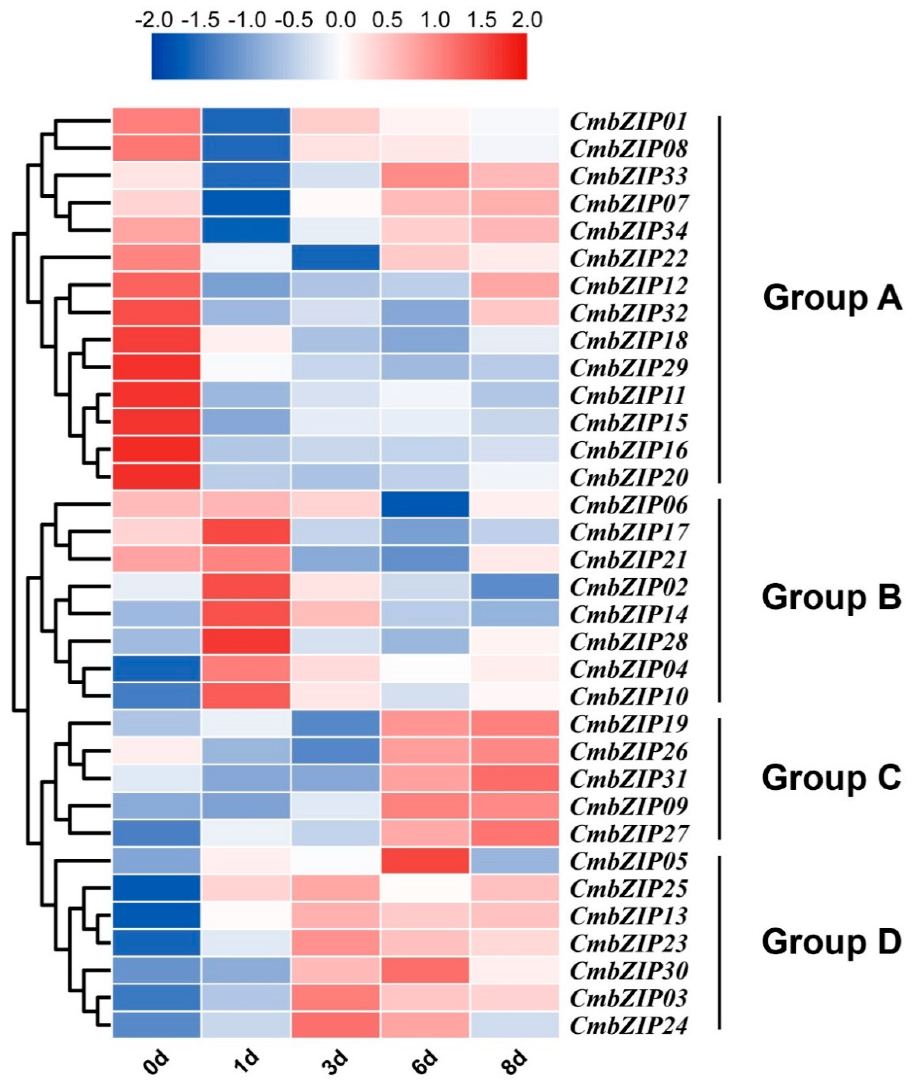 Microorganisms 08 01045 g008 Microorganisms 08 01045 g008