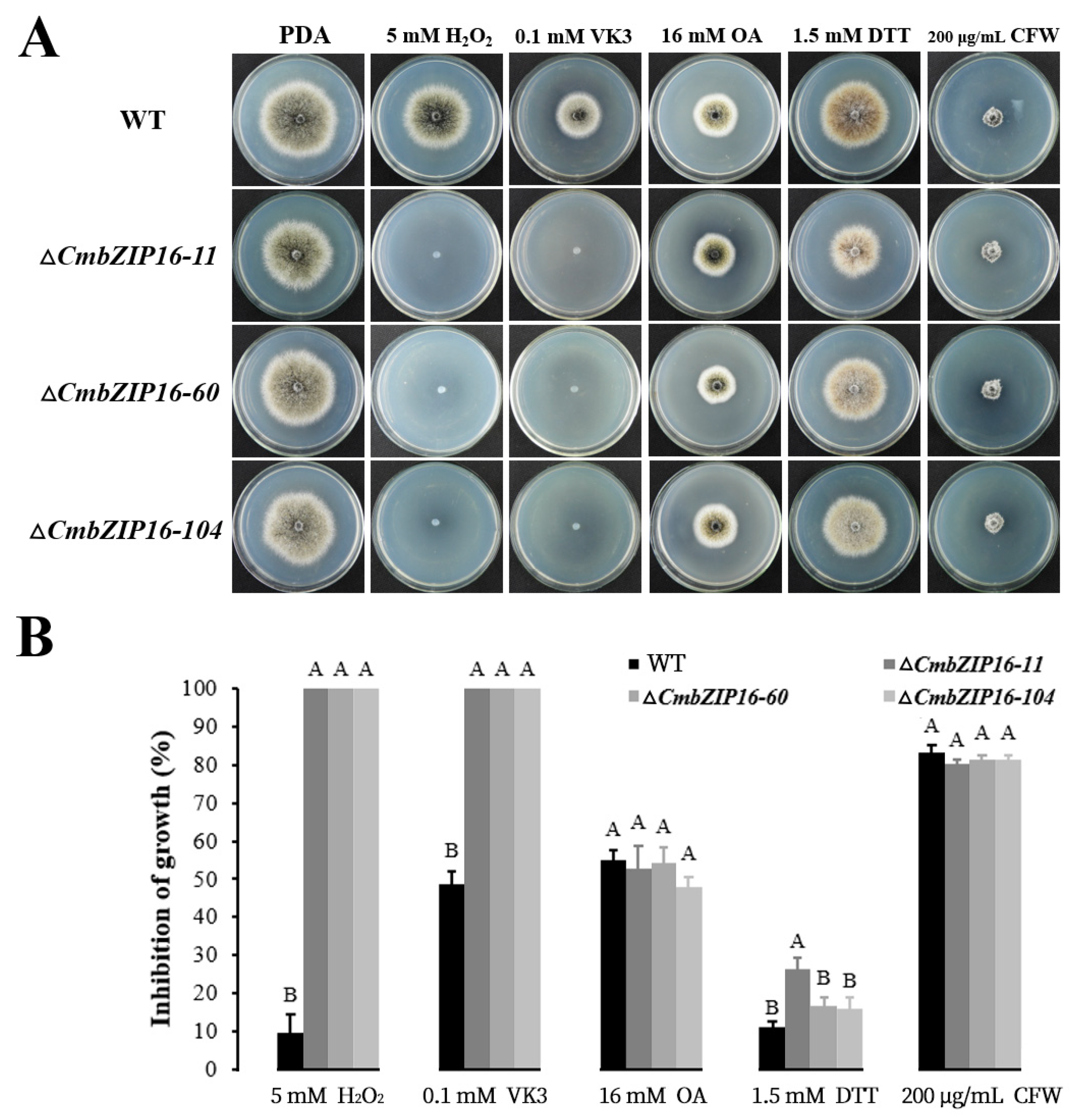 Microorganisms 08 01045 g009 Microorganisms 08 01045 g009