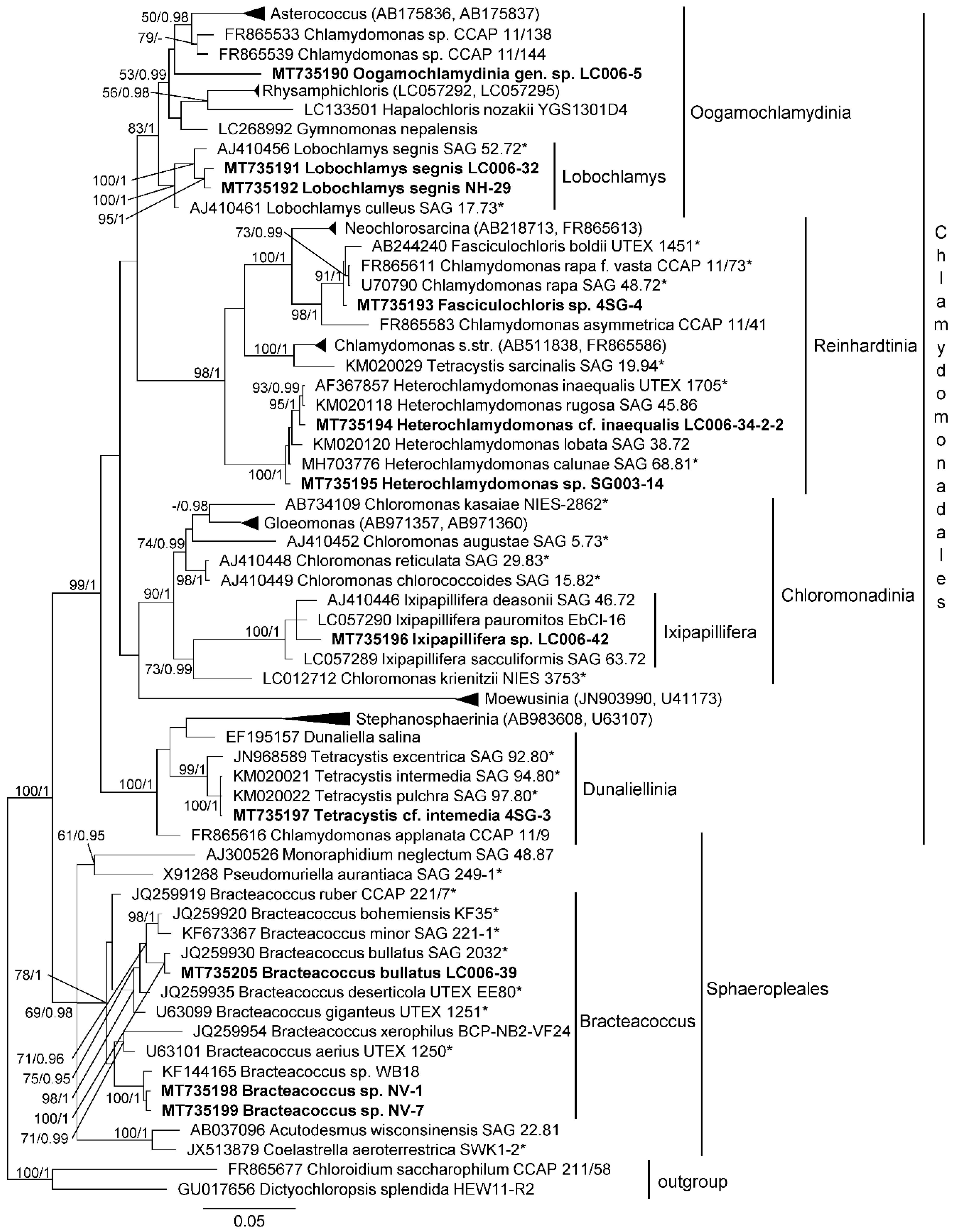 Microorganisms 08 01047 g002
