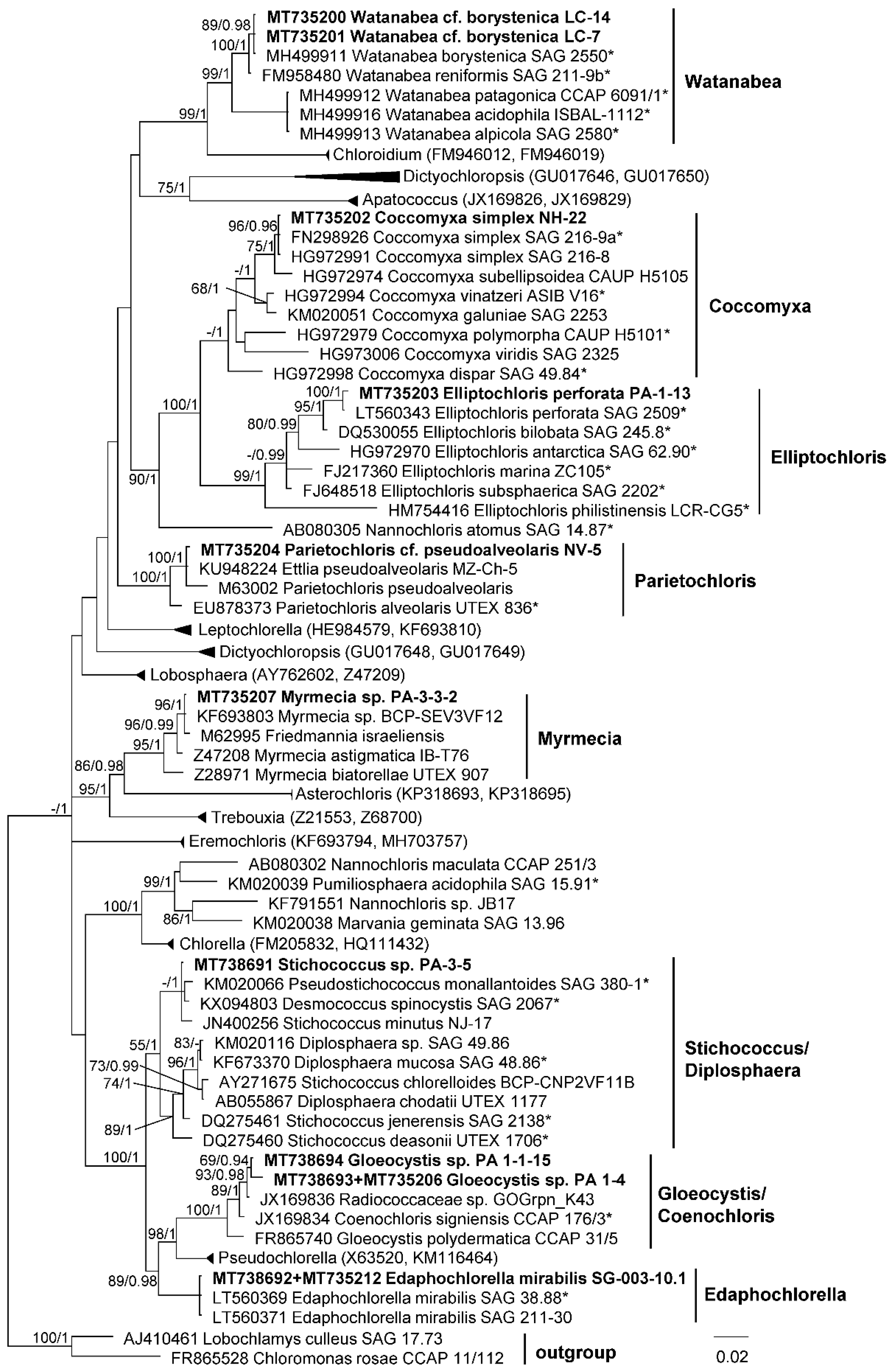Microorganisms 08 01047 g003