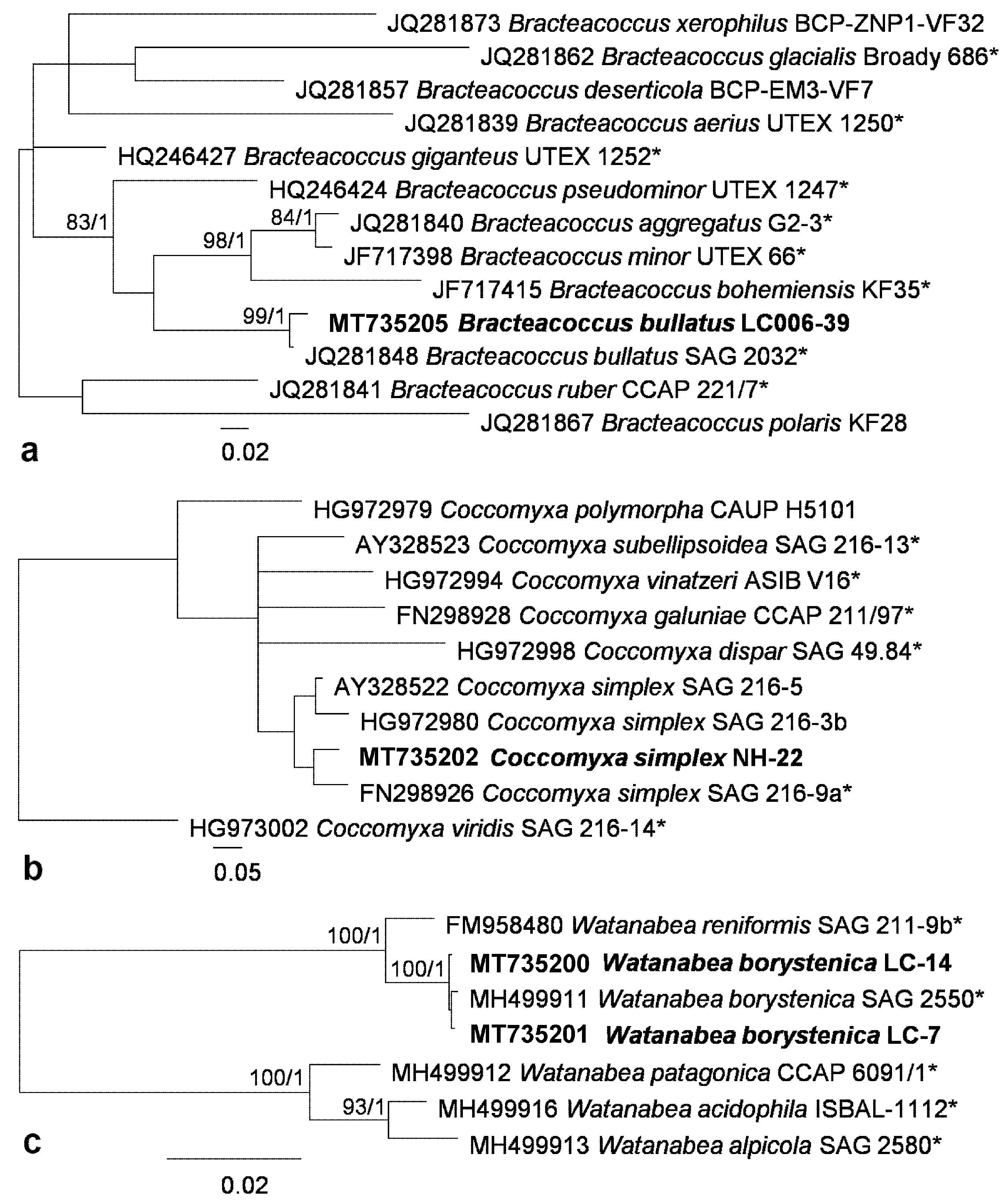 Microorganisms 08 01047 g004