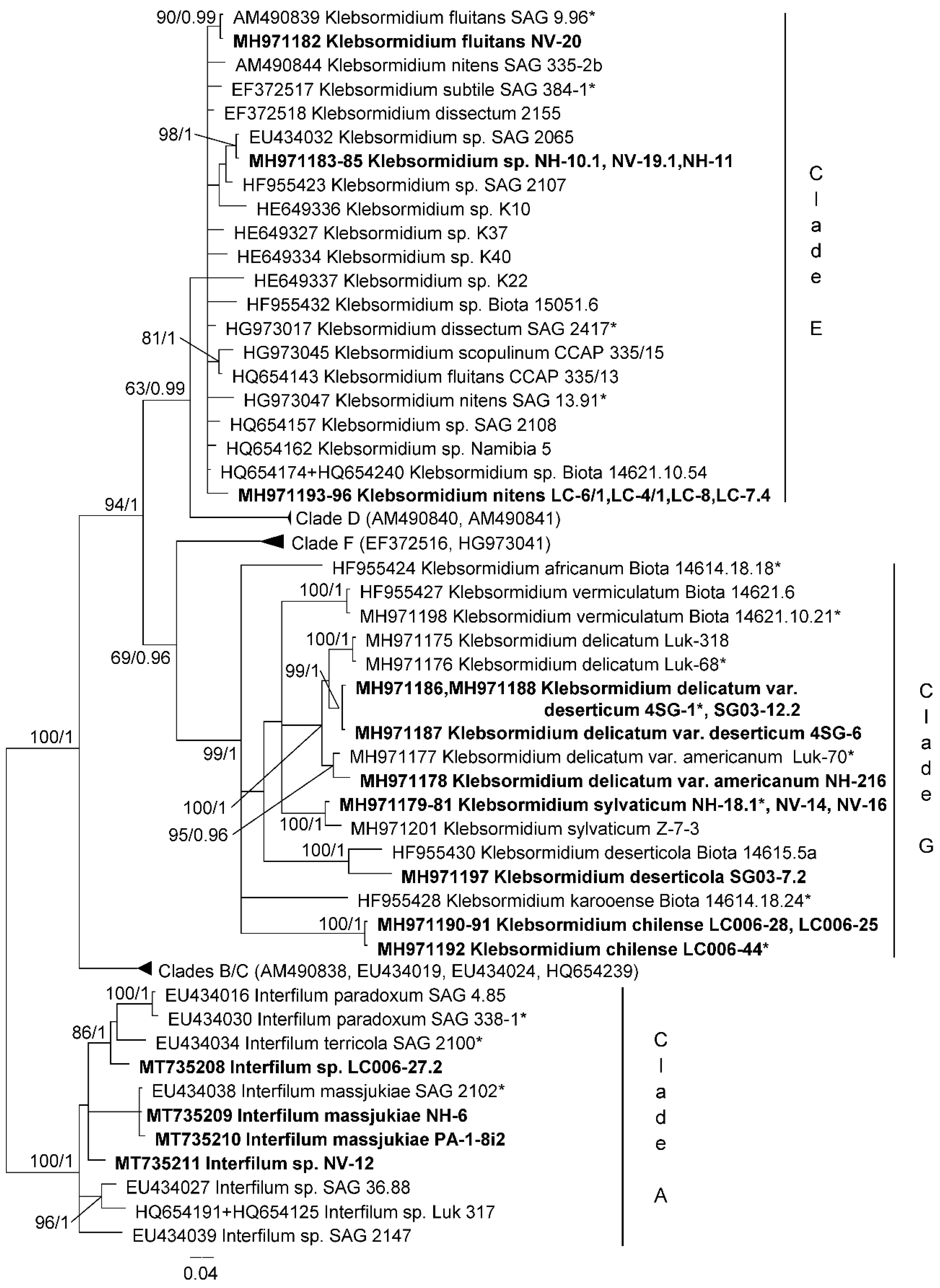 Microorganisms 08 01047 g005