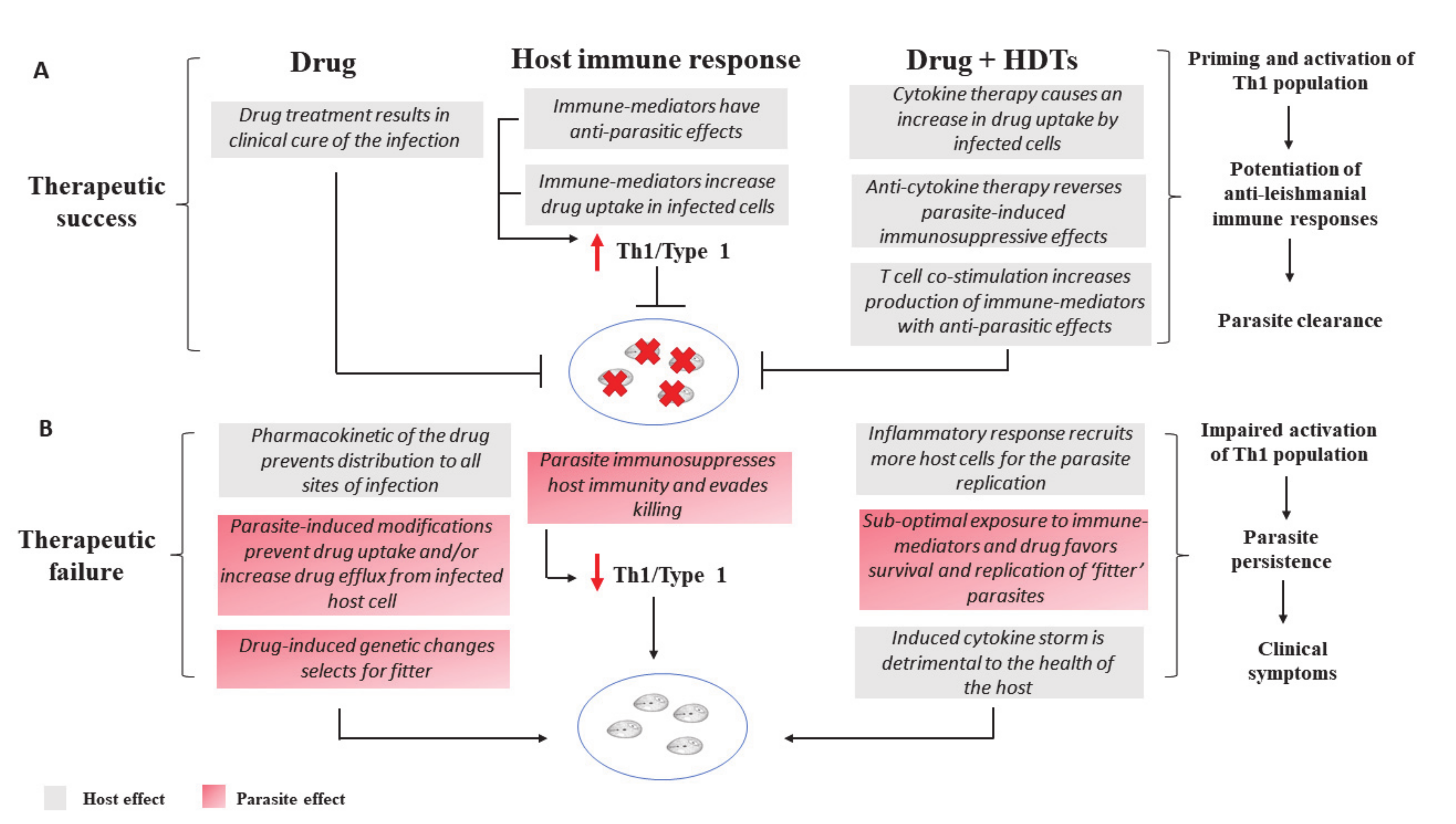 Microorganisms 08 01069 g001