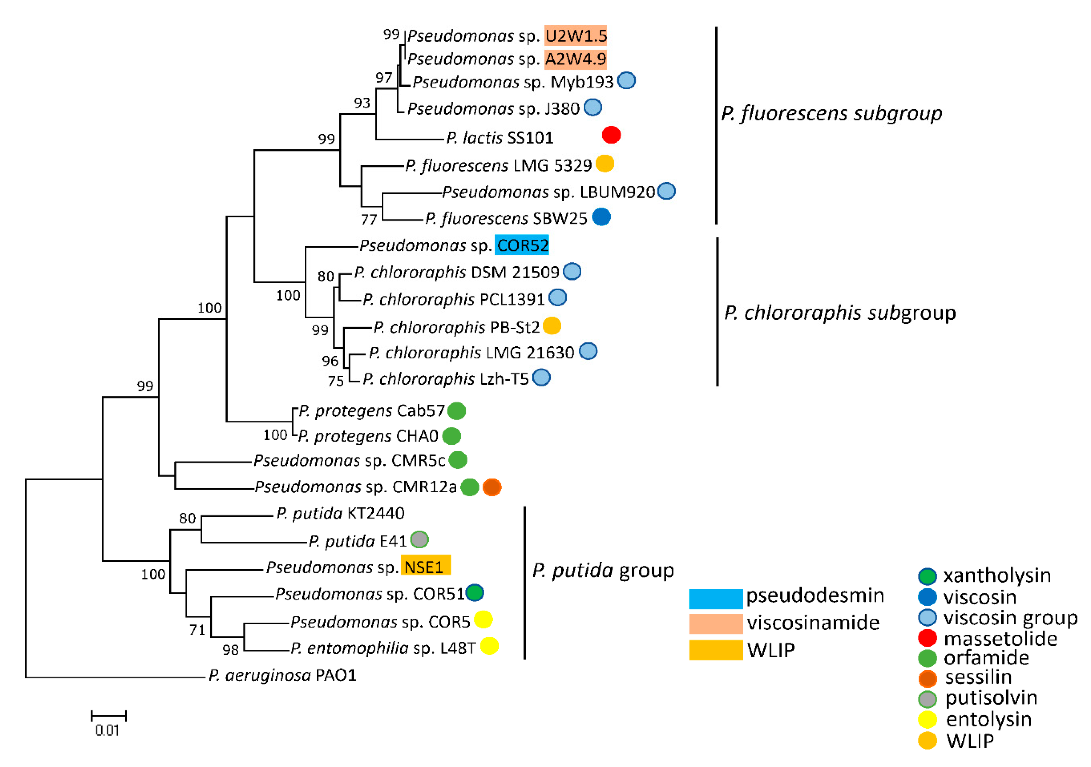 Microorganisms 08 01079 g005