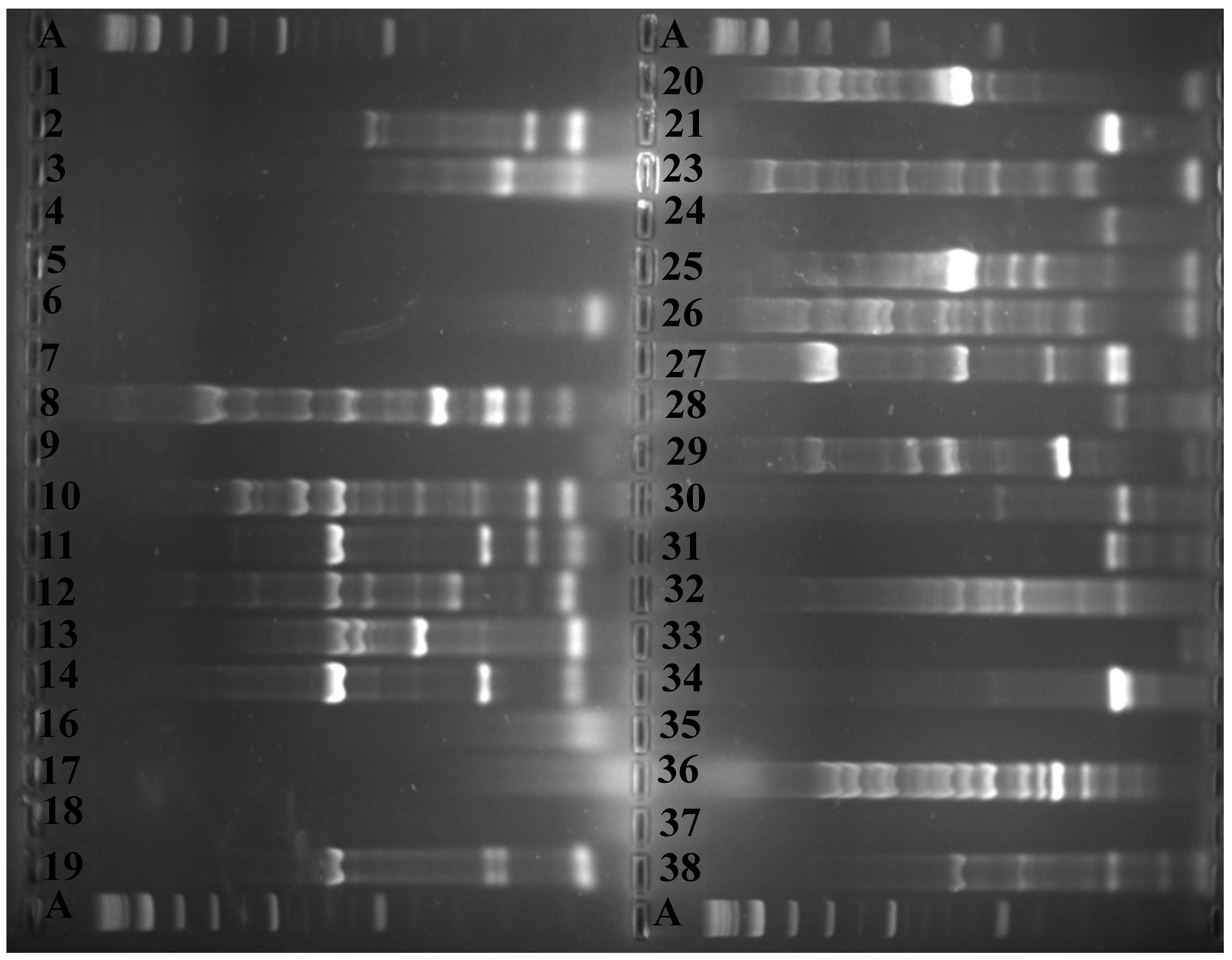 Microorganisms 08 01081 g003 Microorganisms 08 01081 g003