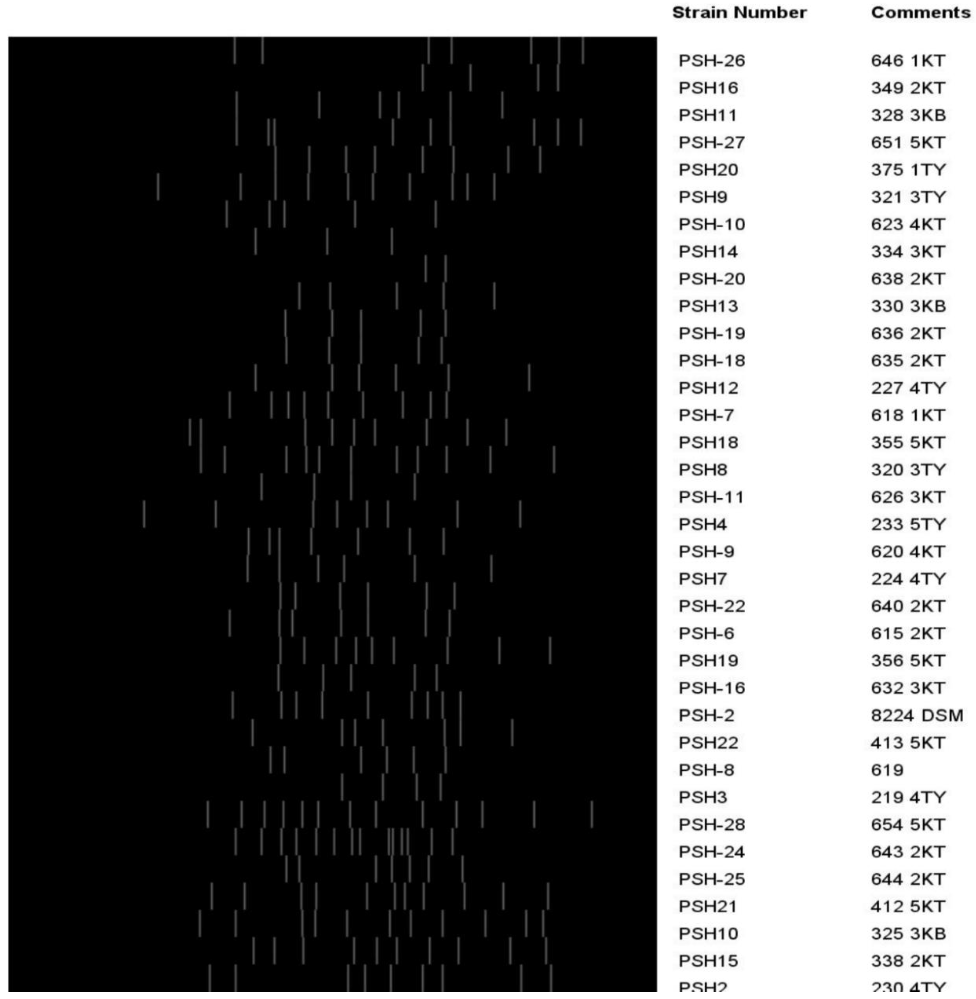 Microorganisms 08 01081 g005 Microorganisms 08 01081 g005