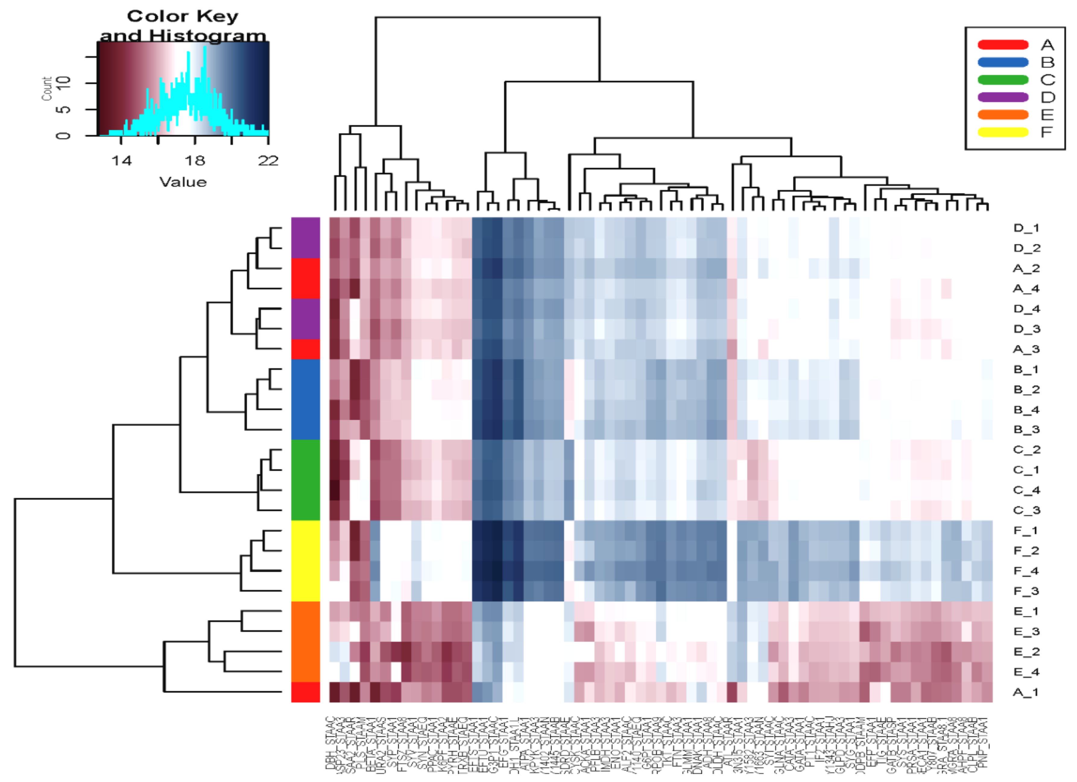 Microorganisms 08 01082 g005