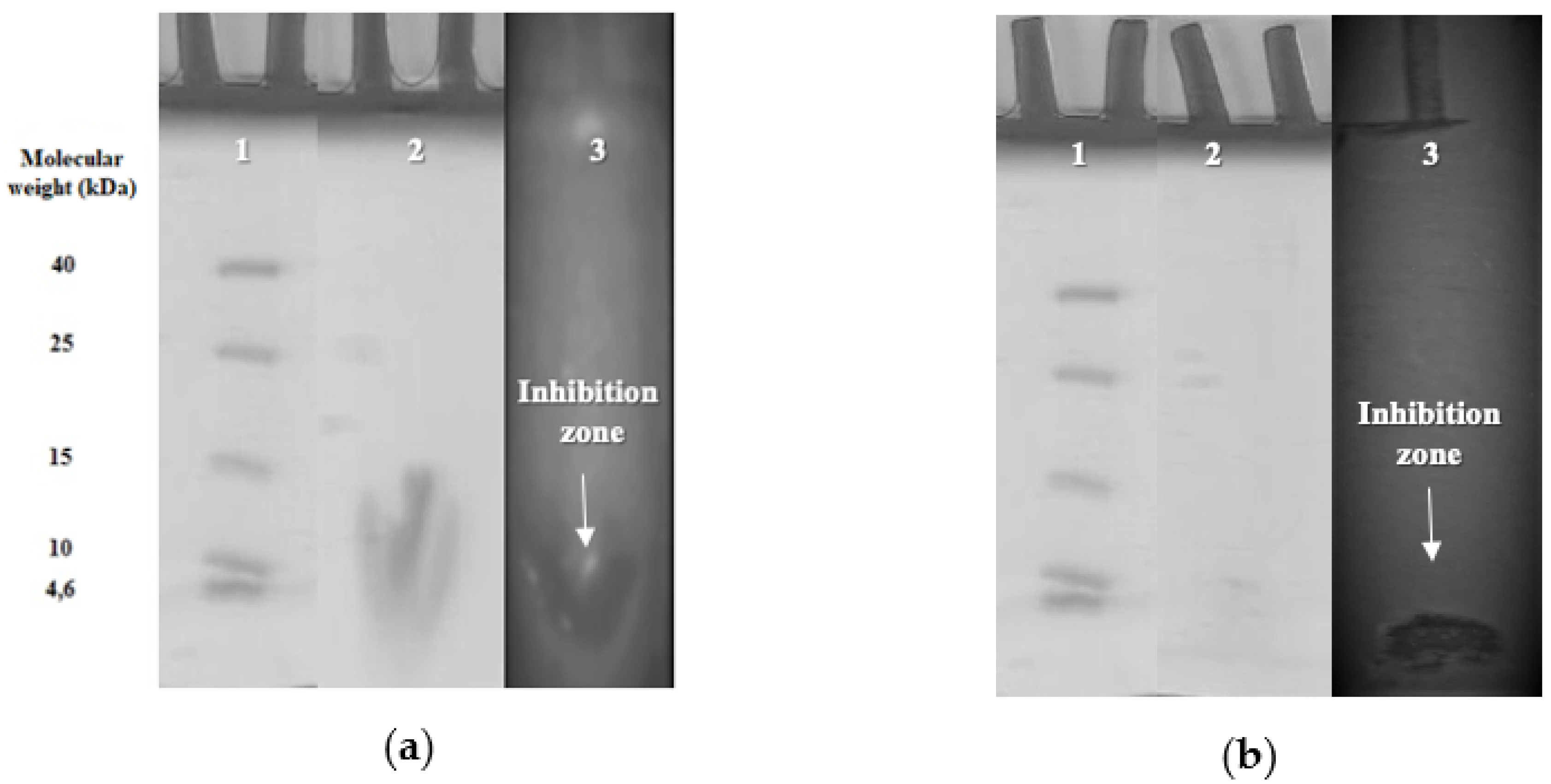 Microorganisms 08 01083 g001 Microorganisms 08 01083 g001