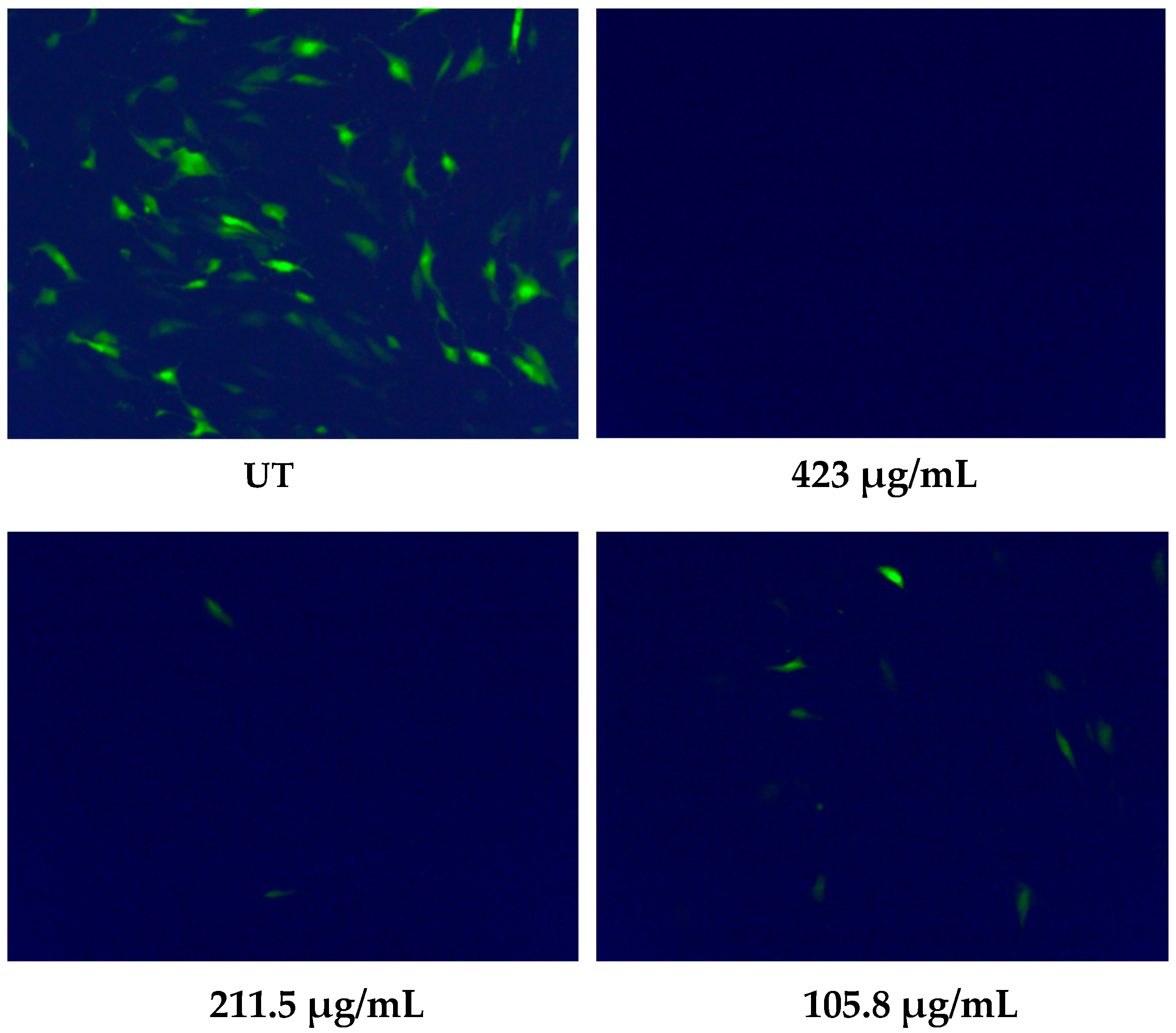 Microorganisms 08 01087 g002 Microorganisms 08 01087 g002
