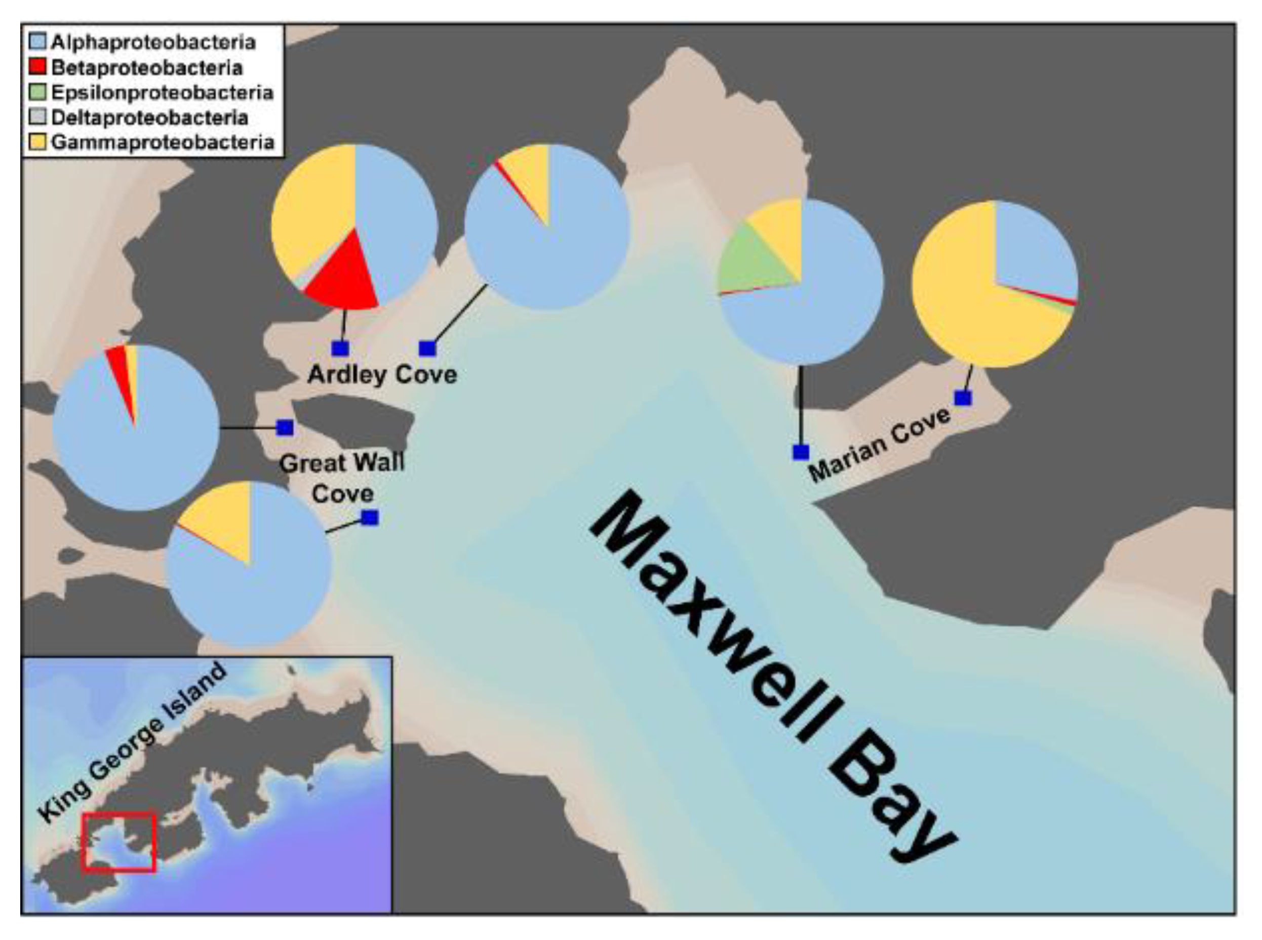 Microorganisms 08 01115 g006