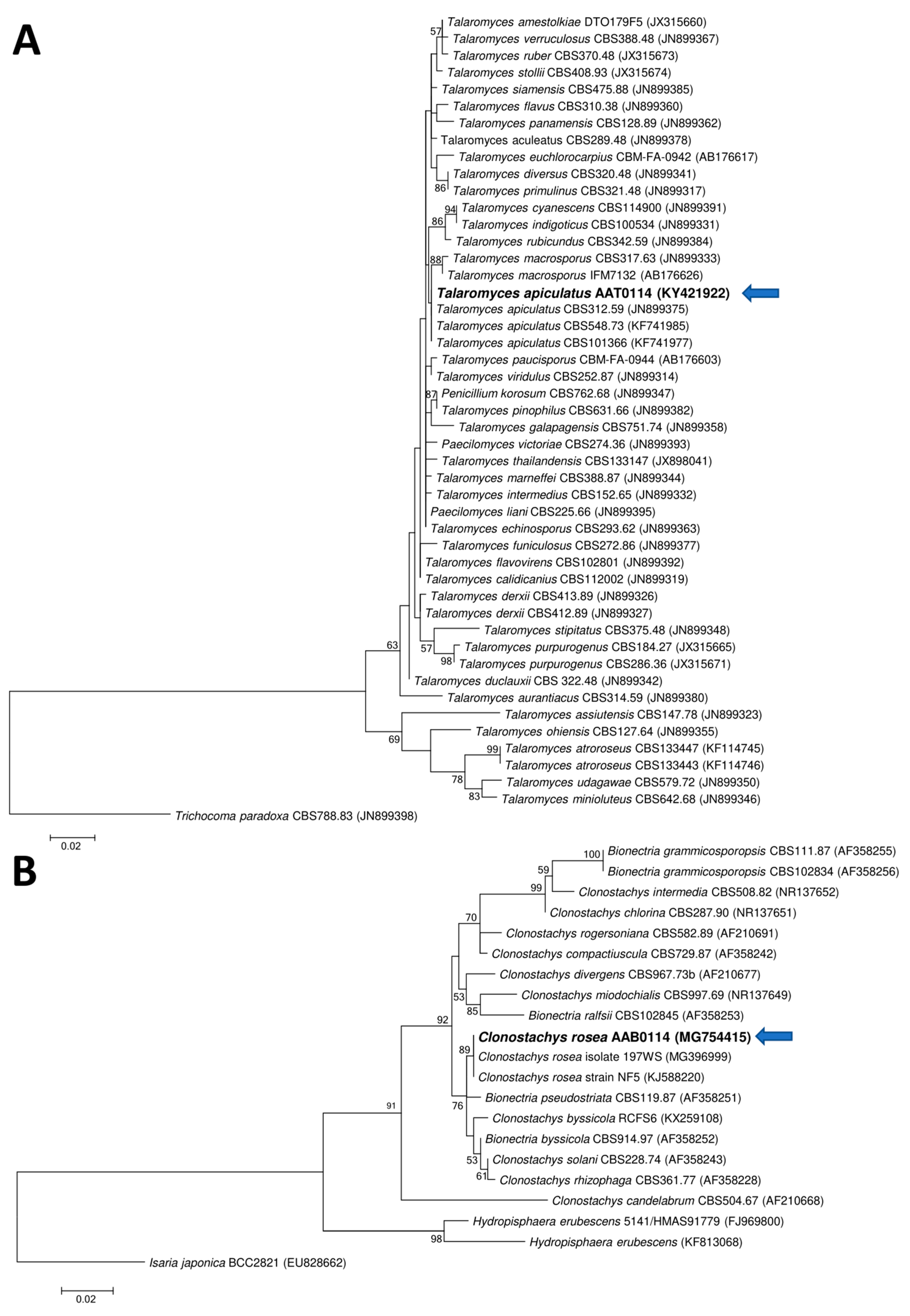Microorganisms 08 01138 g002 Microorganisms 08 01138 g002