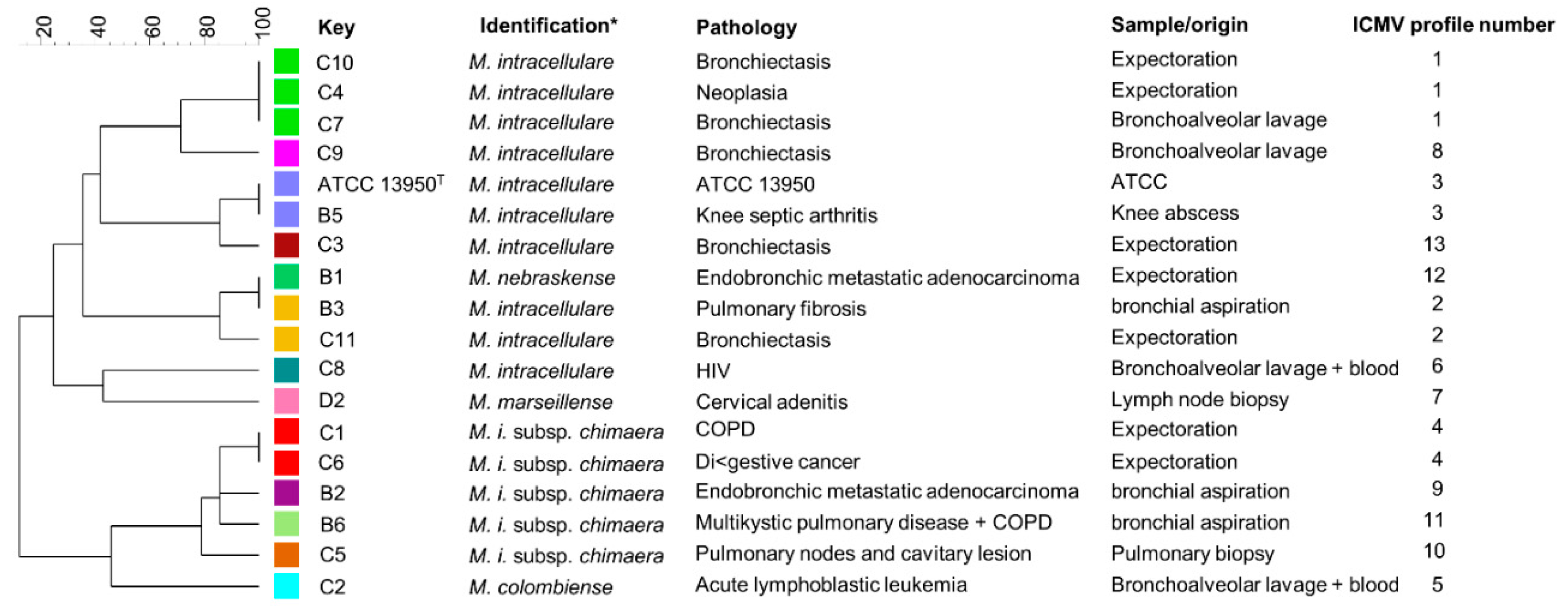 Microorganisms 08 01154 g001