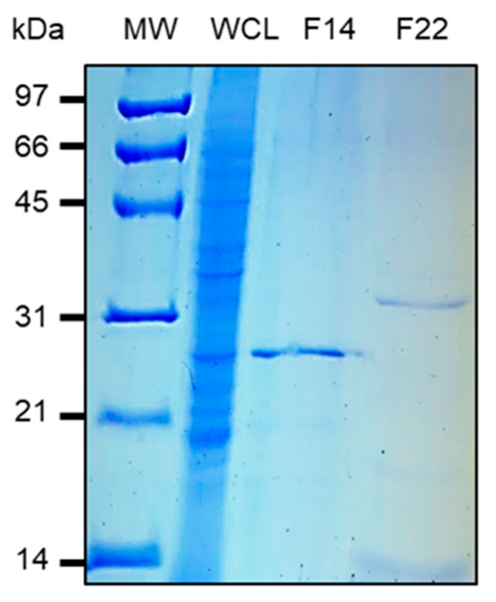 Microorganisms 08 01154 g003