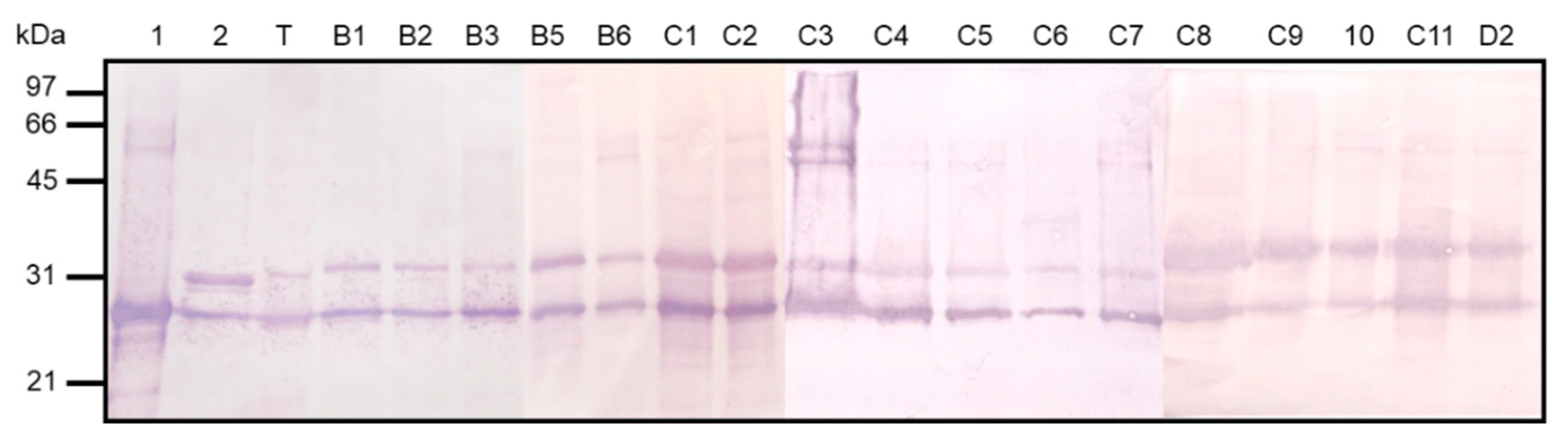 Microorganisms 08 01154 g006