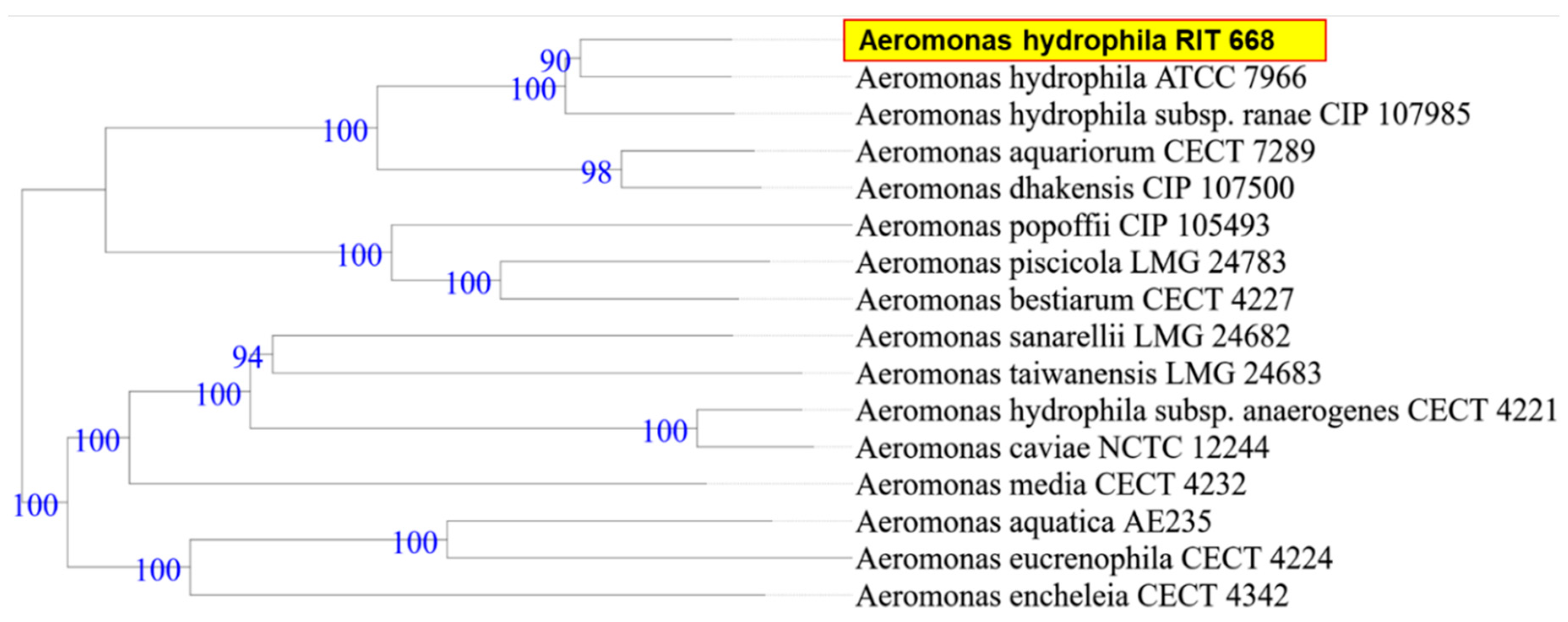 Microorganisms 08 01172 g001 Microorganisms 08 01172 g001