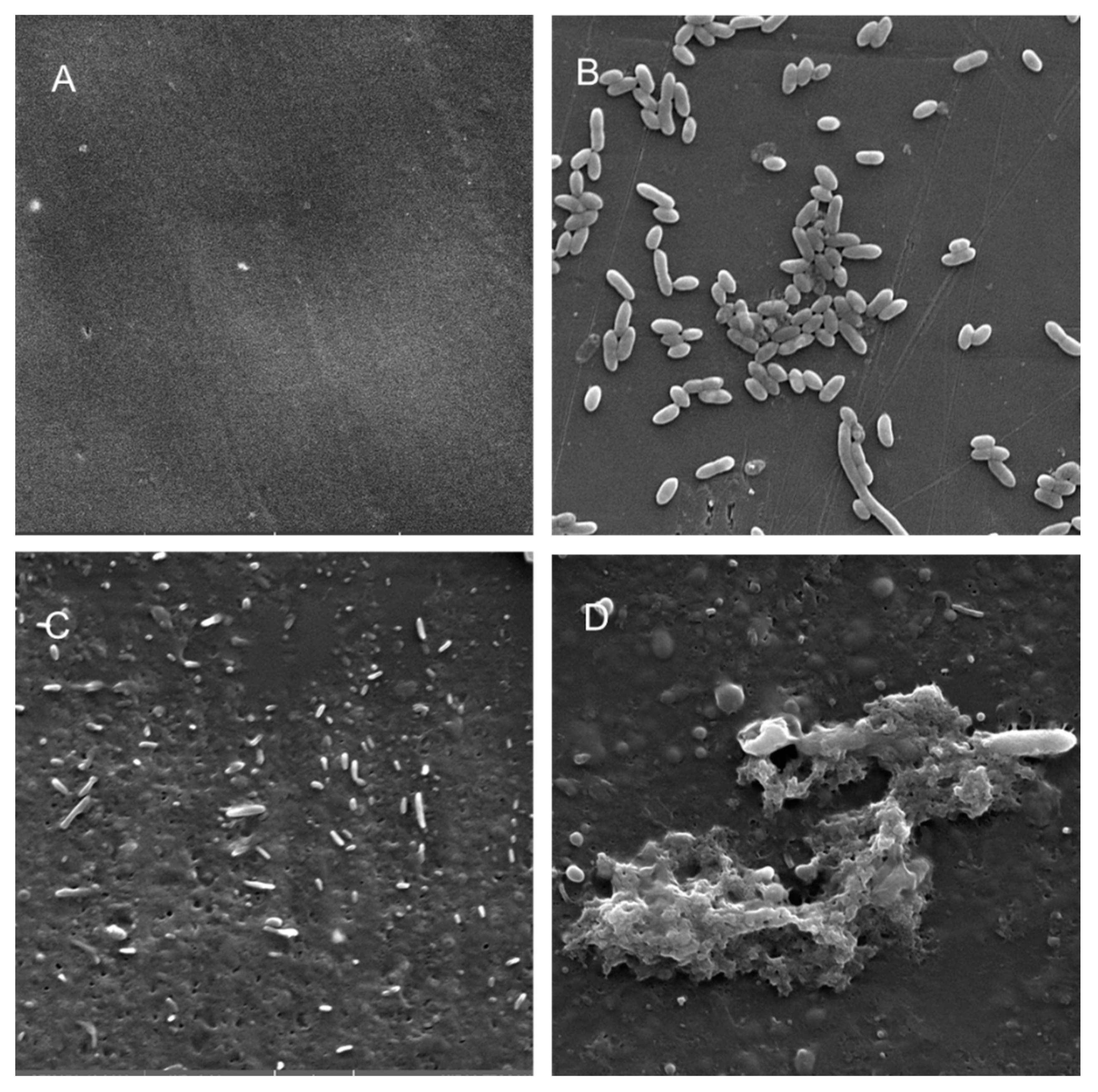 Microorganisms 08 01172 g006 Microorganisms 08 01172 g006
