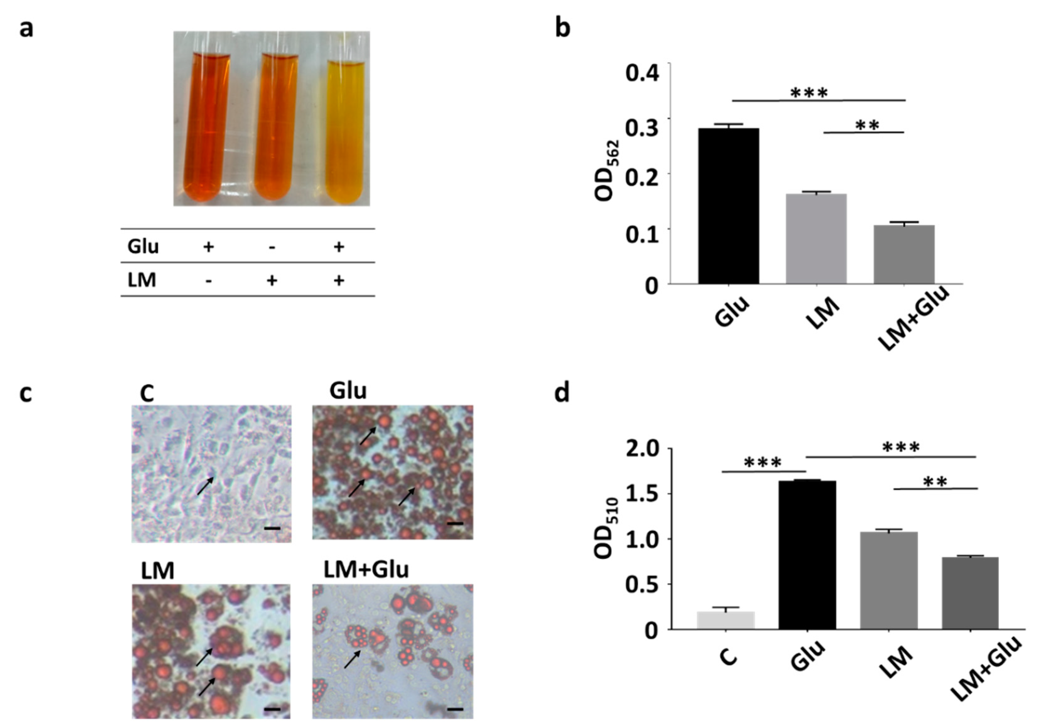Microorganisms 08 01180 g001