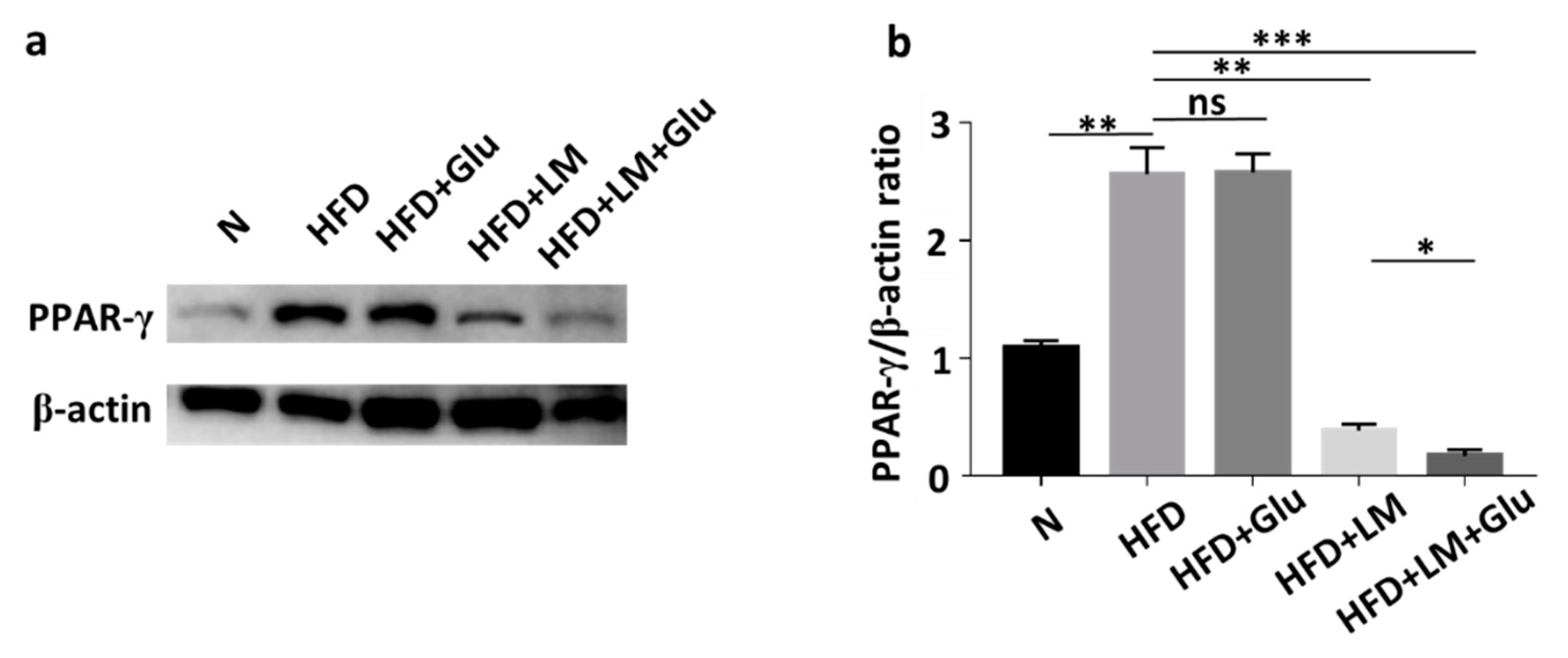 Microorganisms 08 01180 g003