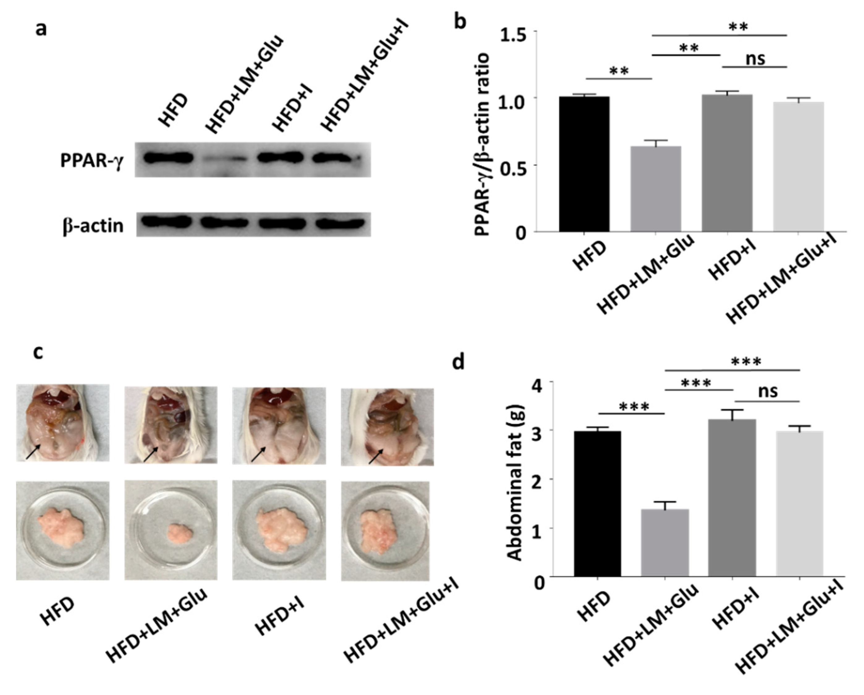 Microorganisms 08 01180 g004