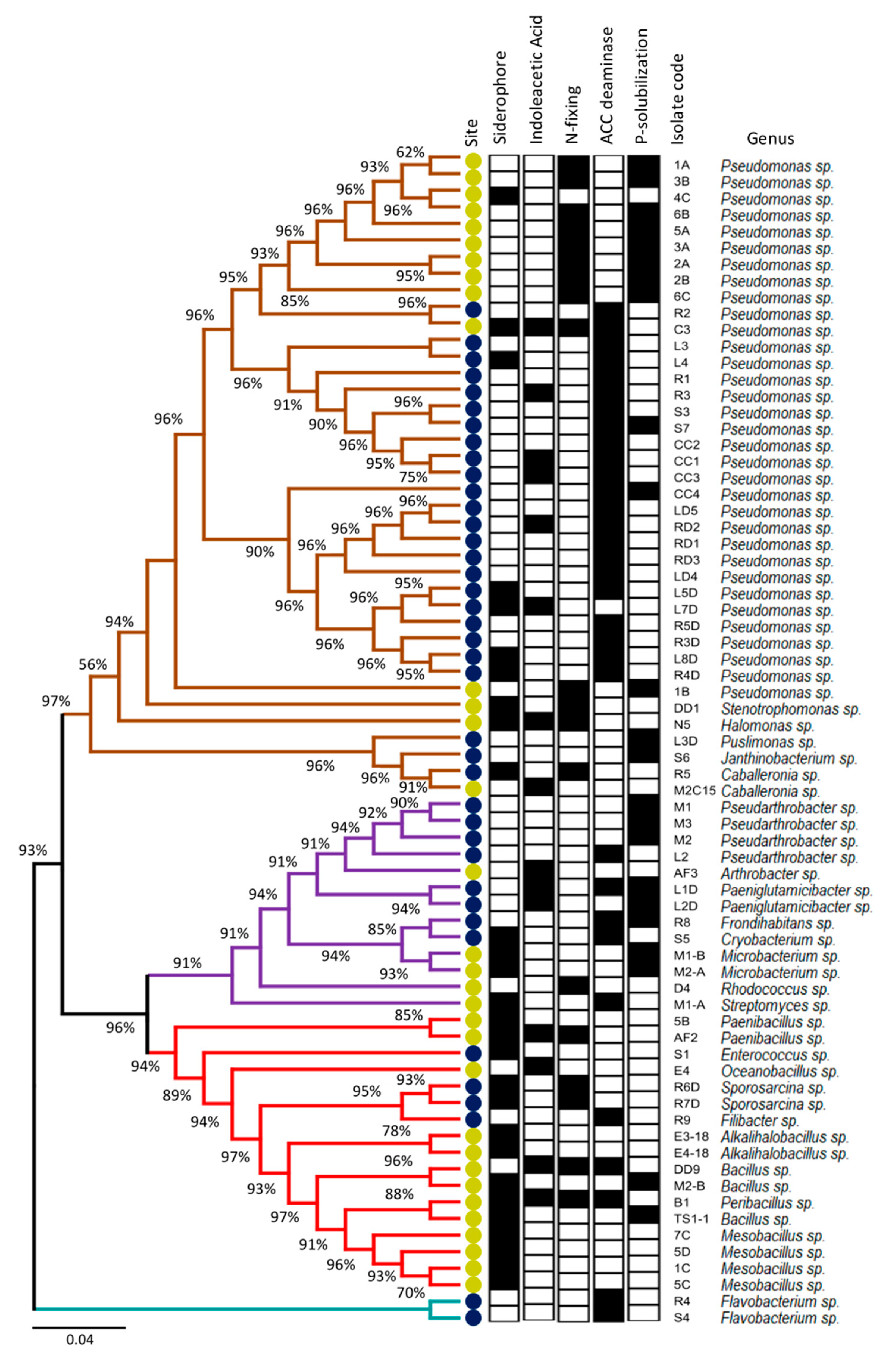 Microorganisms 08 01213 g002 Microorganisms 08 01213 g002