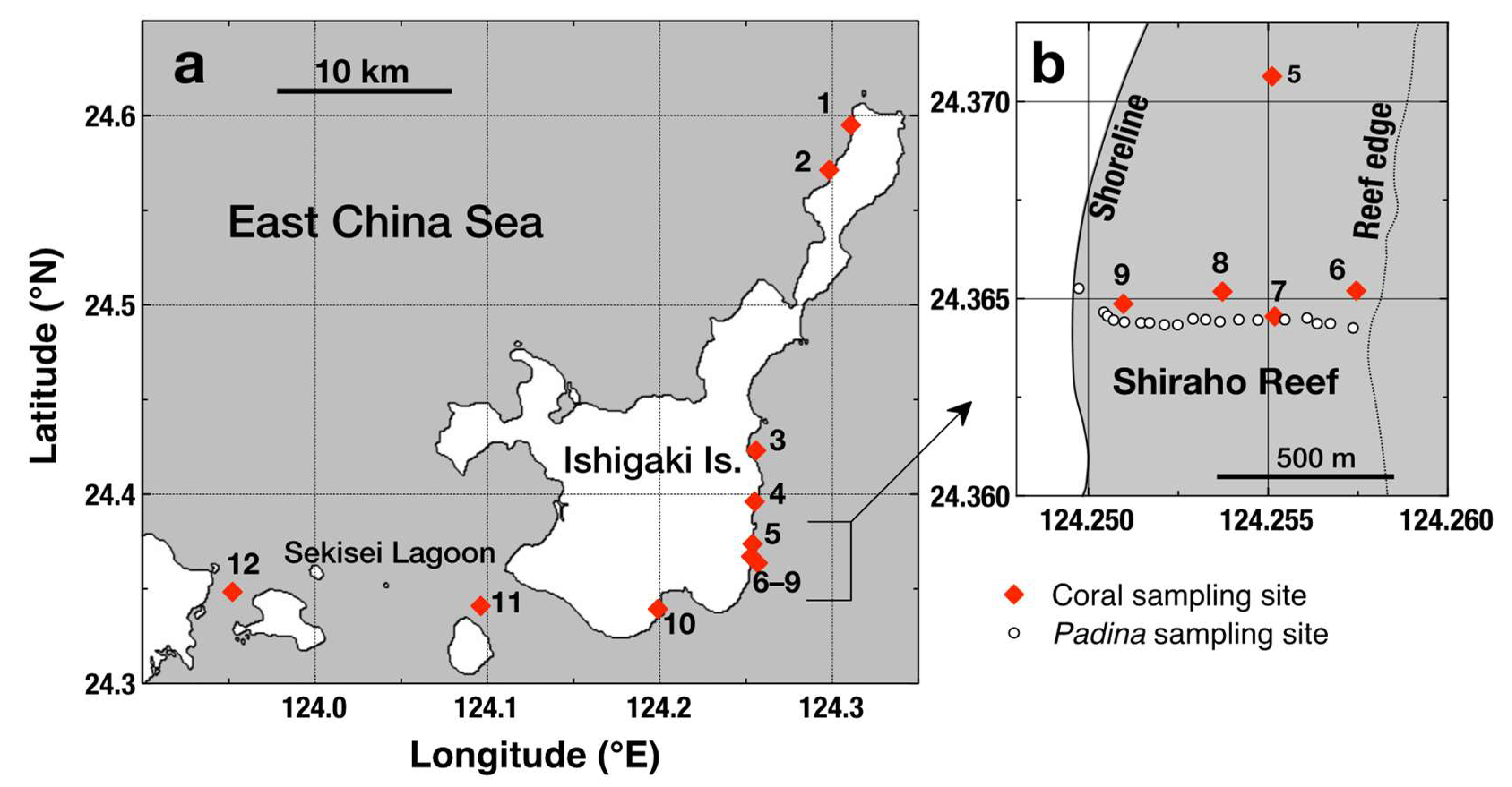 Microorganisms 08 01221 g001