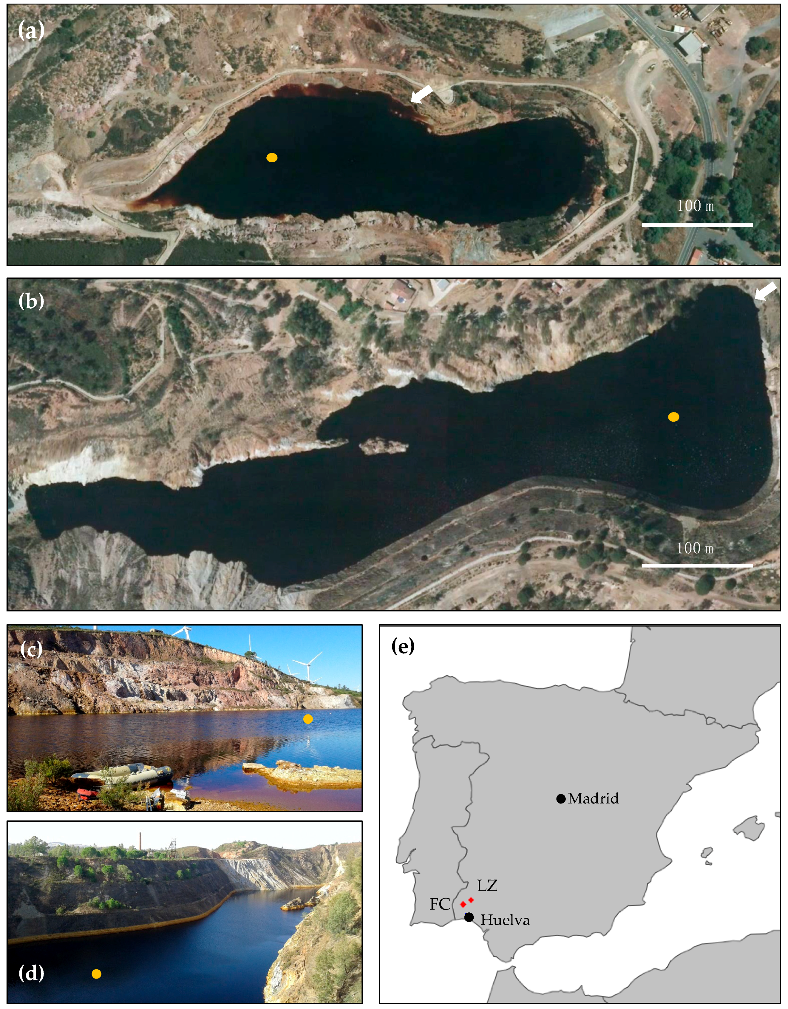 Microorganisms 08 01275 g001