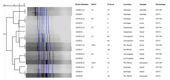 Microorganisms 08 01279 g0a1