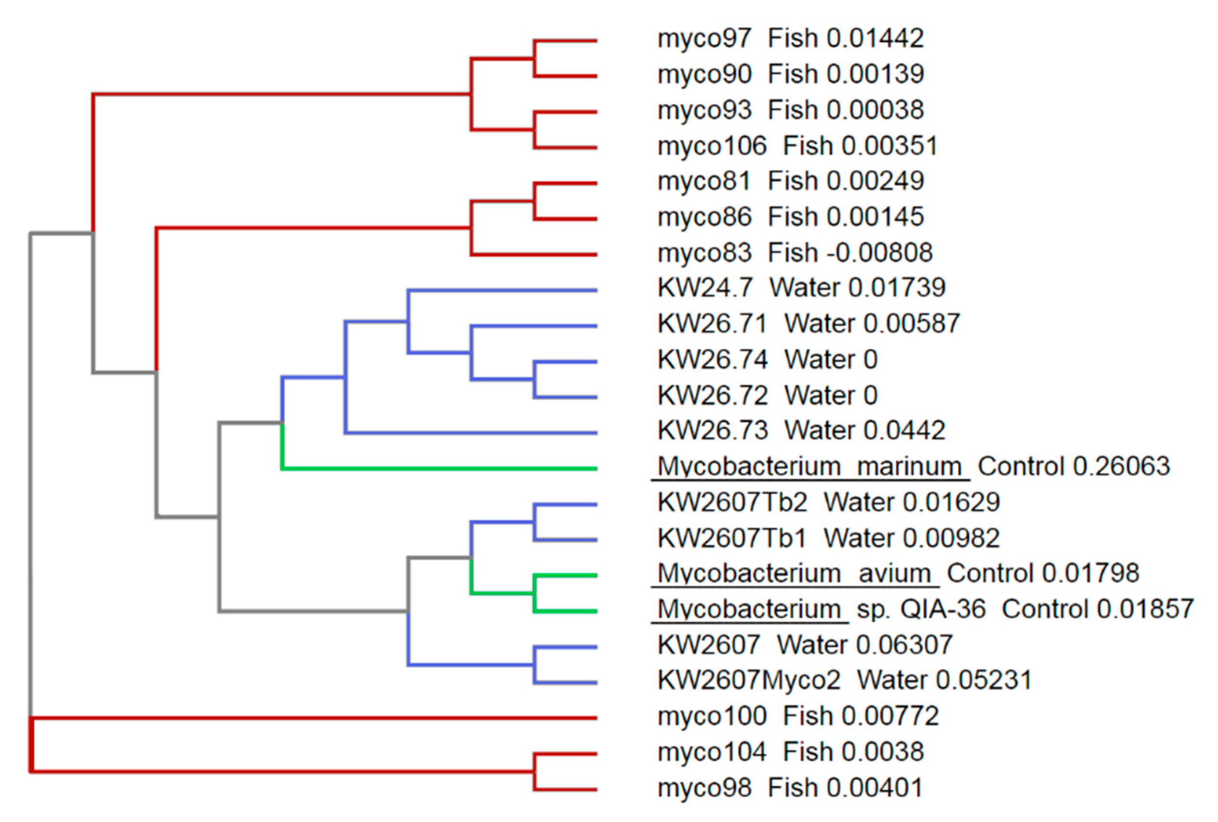 Microorganisms 08 01305 g002