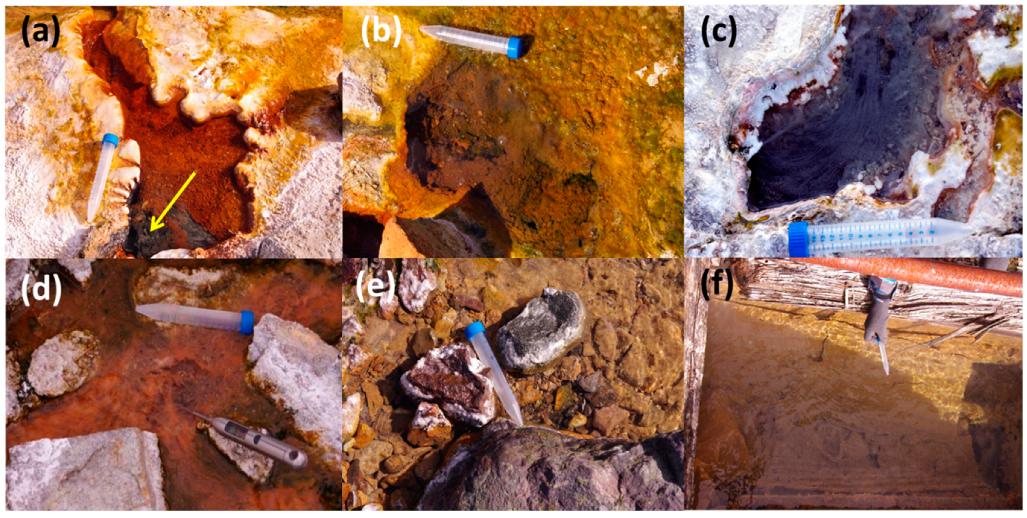 Microorganisms 08 01308 g002