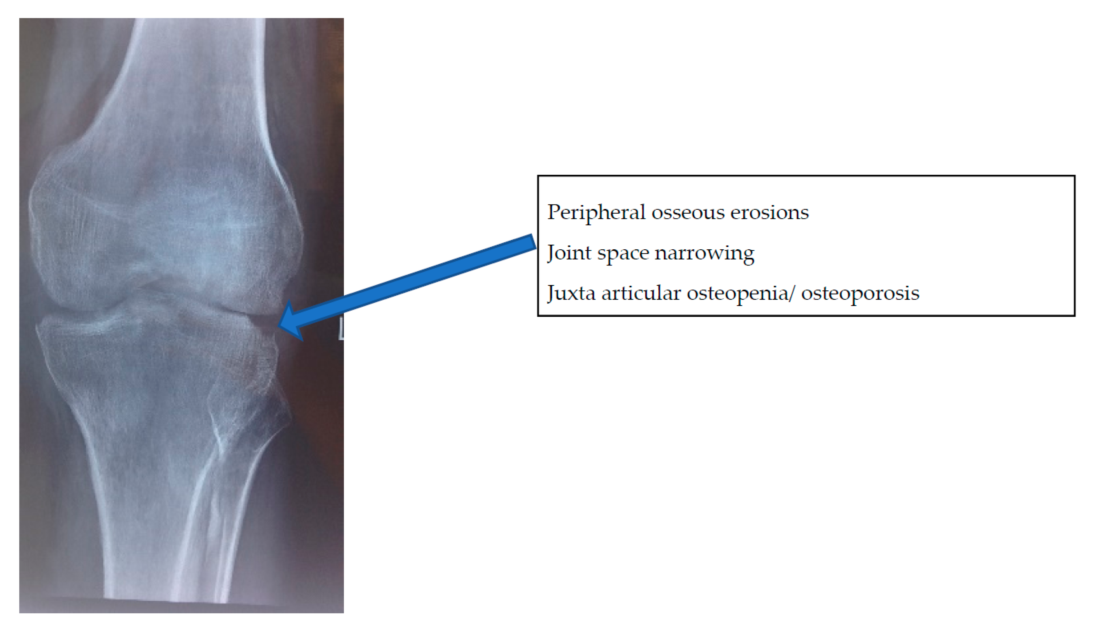 Microorganisms 08 01312 g005