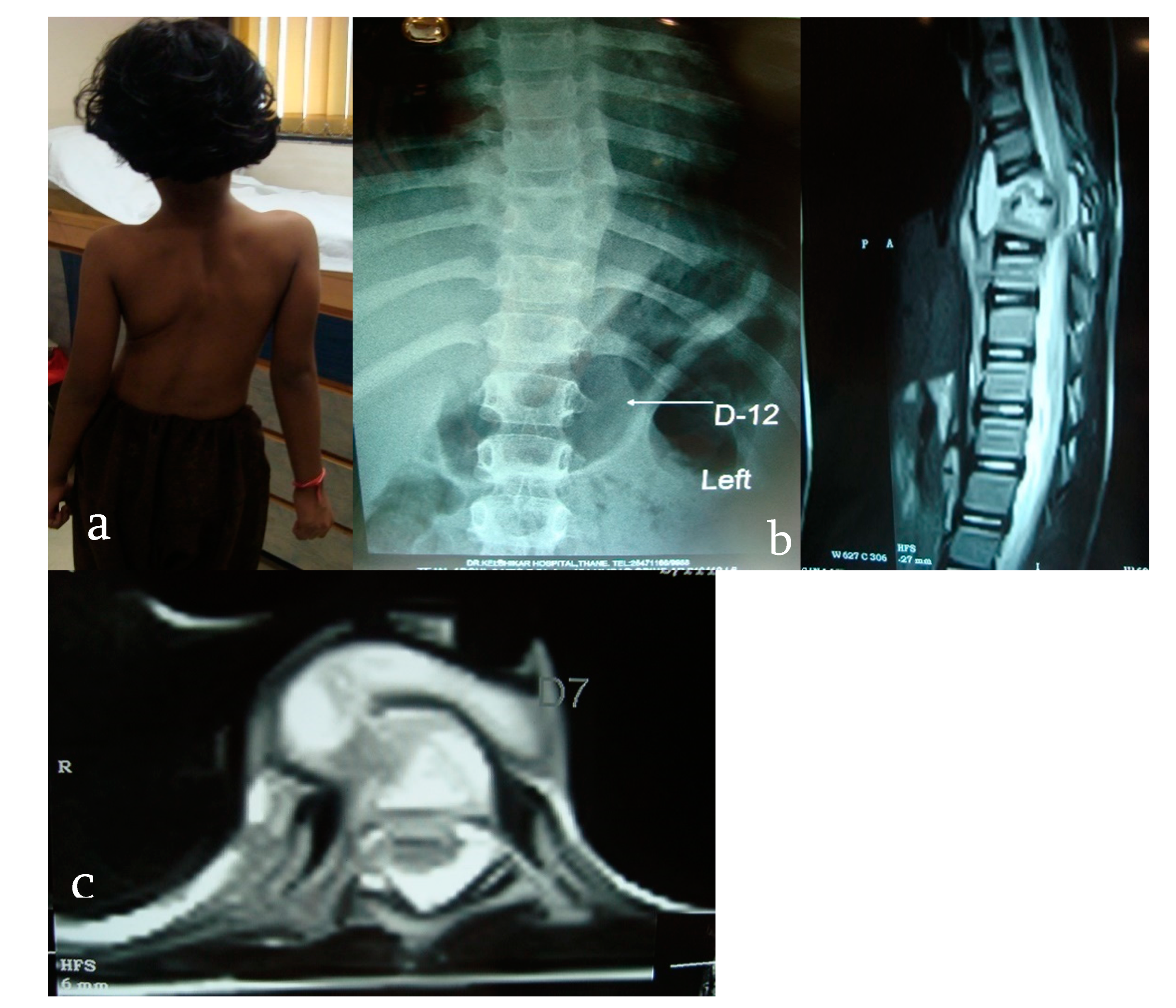 Microorganisms 08 01312 g006