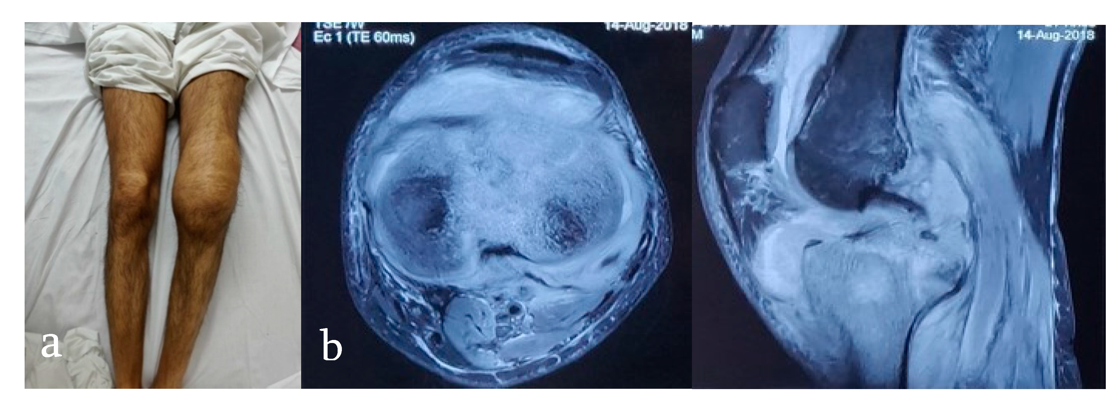 Microorganisms 08 01312 g007
