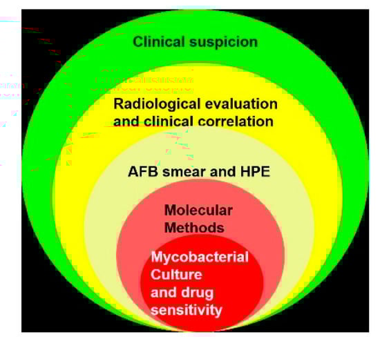 Microorganisms 08 01312 g009