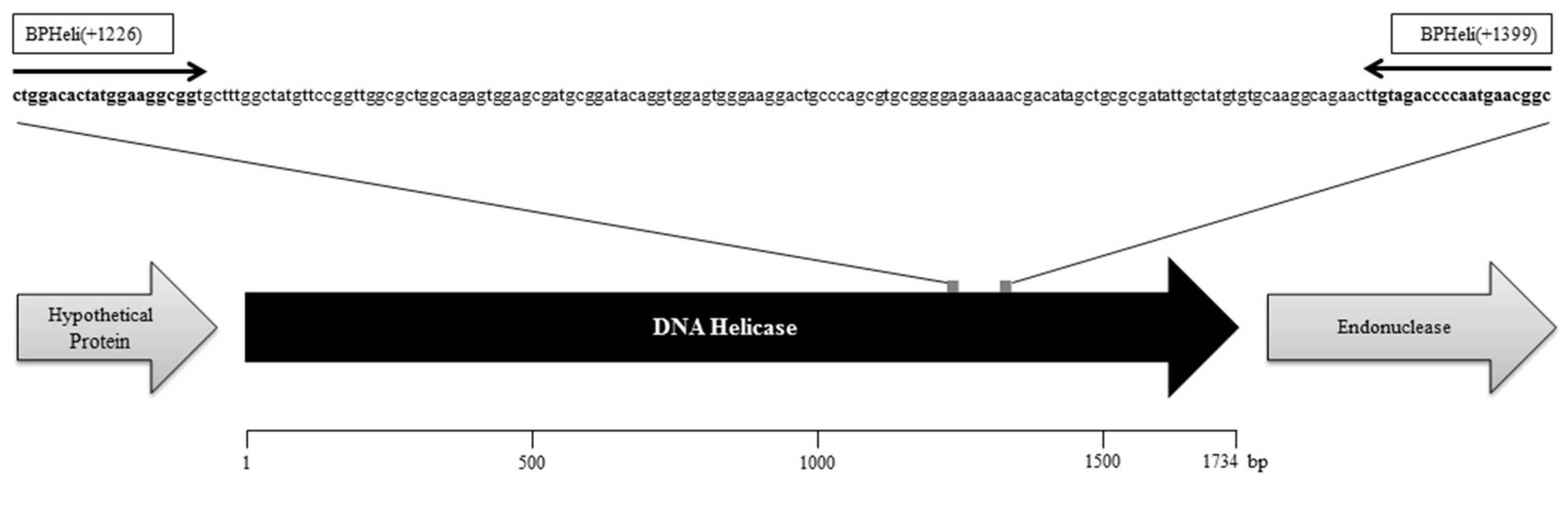 Microorganisms 08 01326 g001
