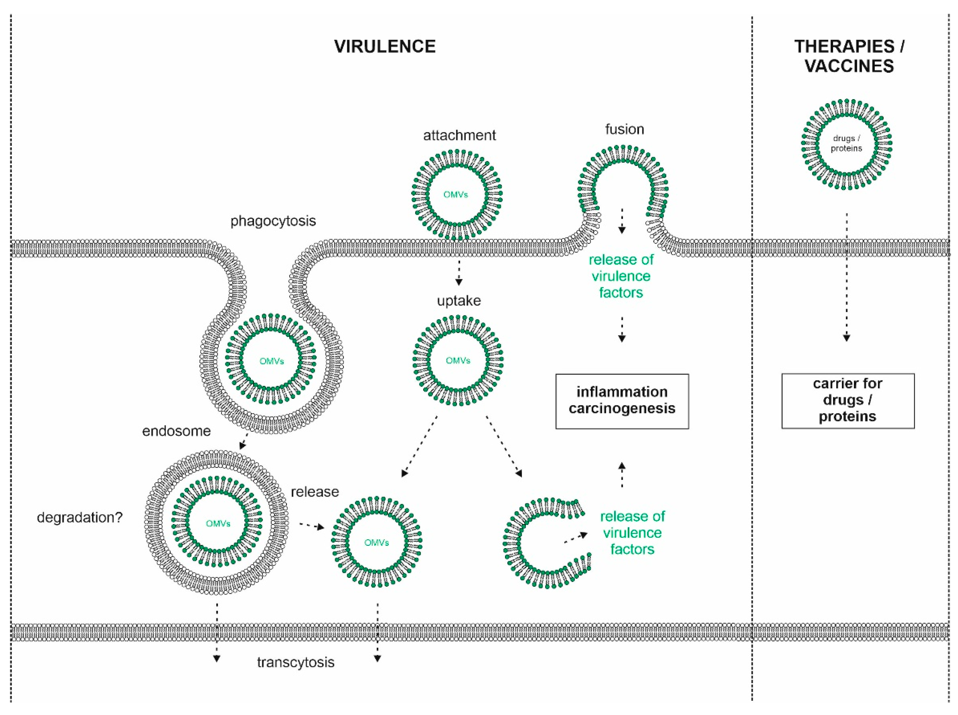 Microorganisms 08 01328 g002