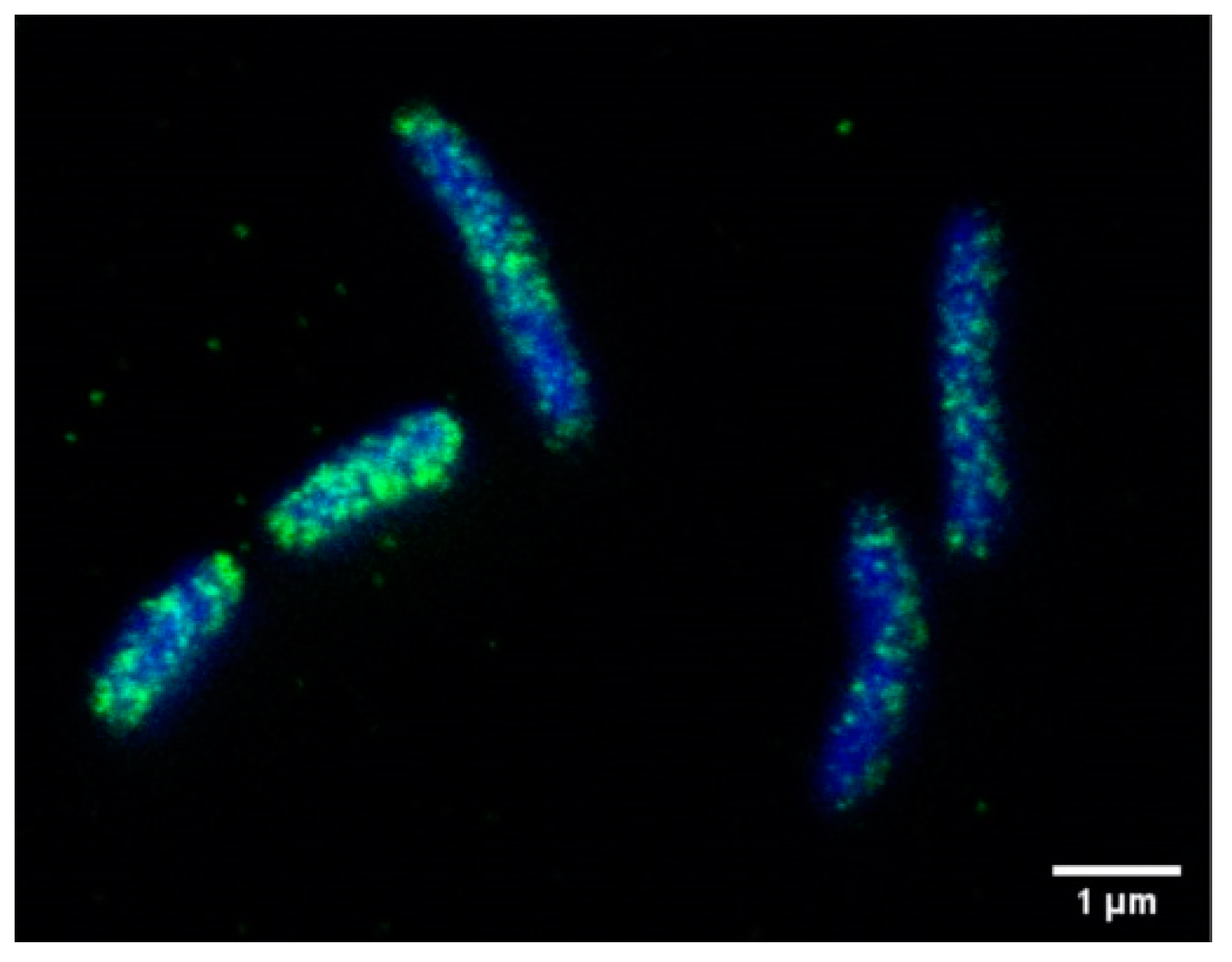 Microorganisms 08 01328 g003