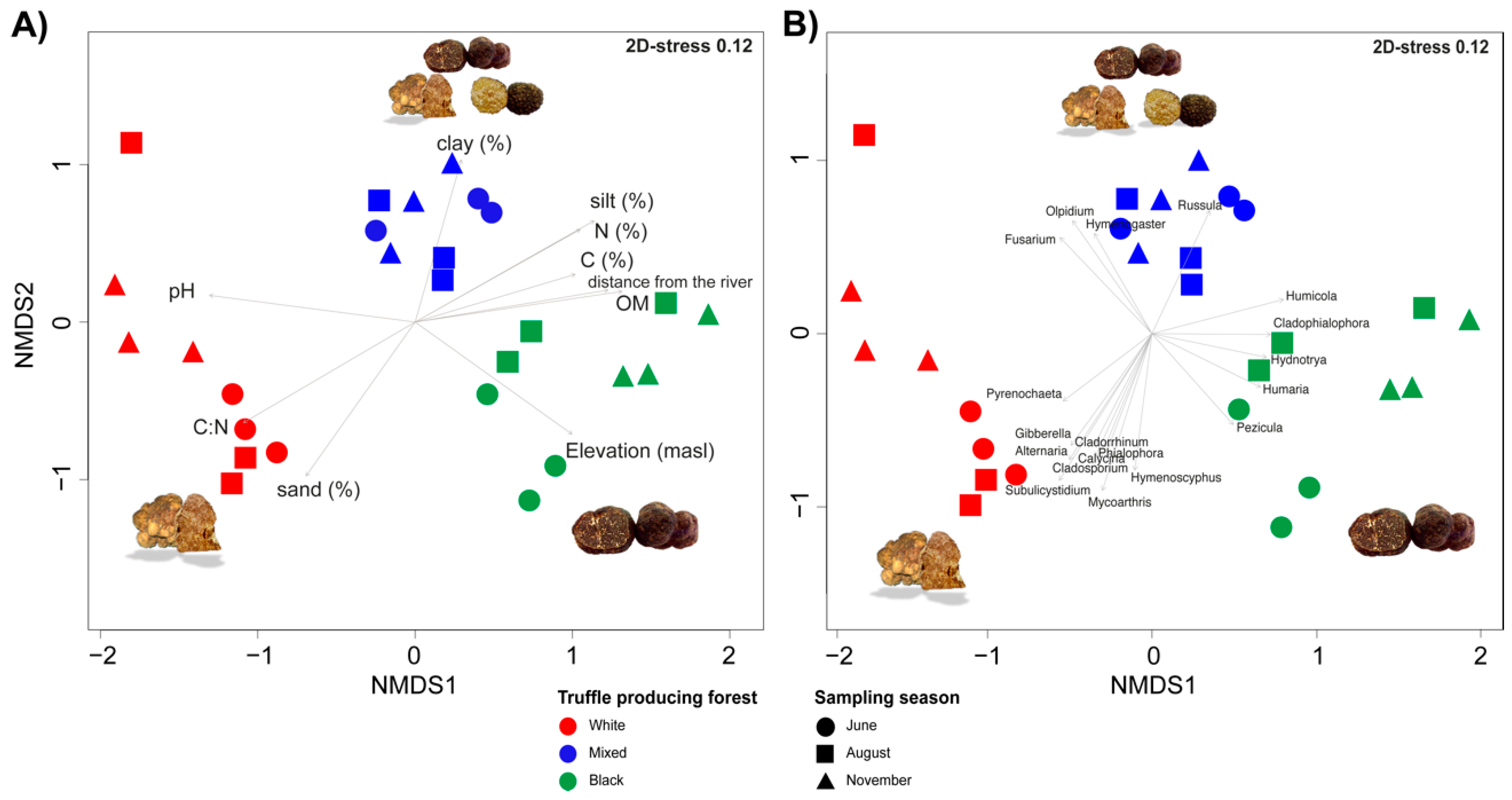 Microorganisms 08 01331 g004