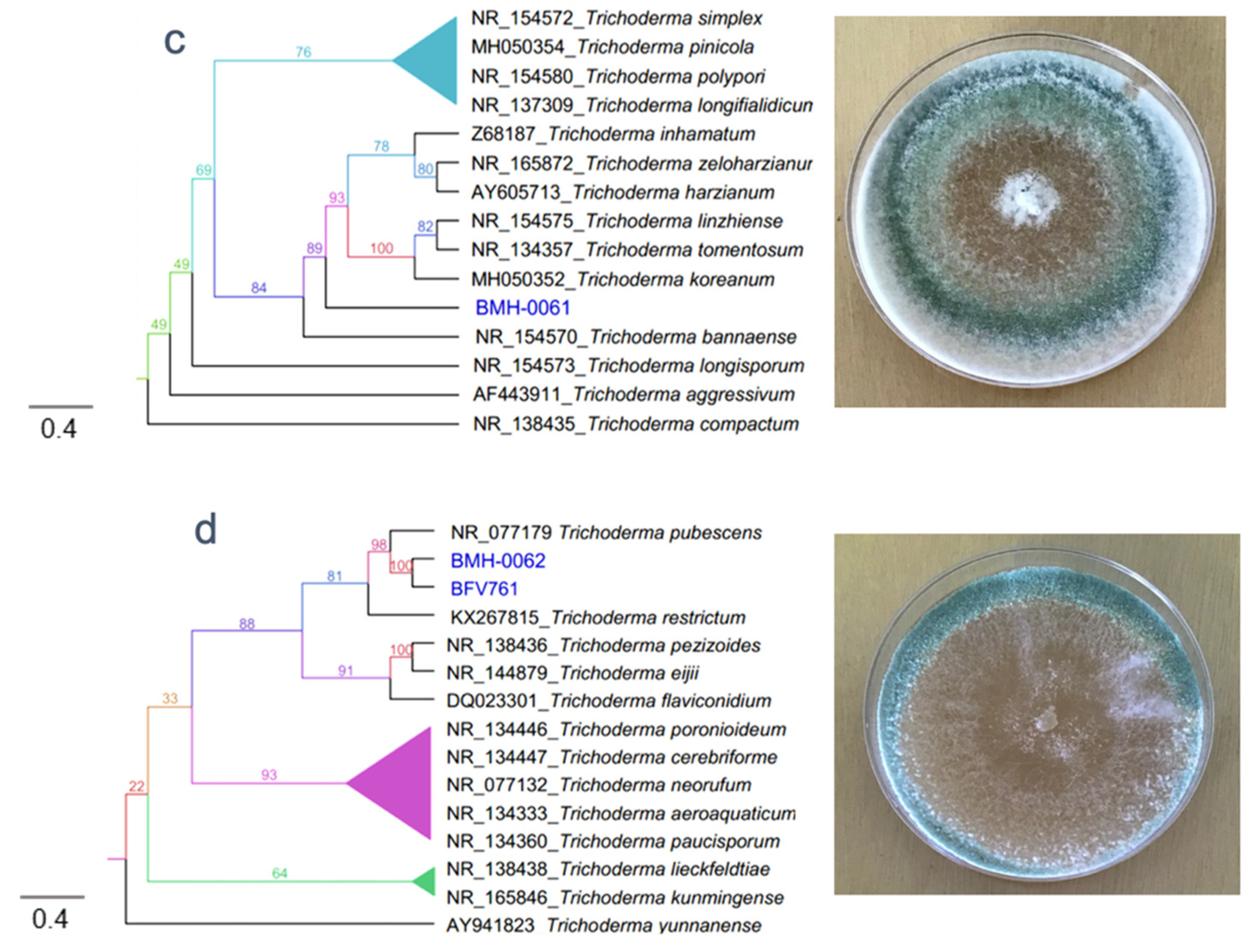 Microorganisms 08 01337 g001b